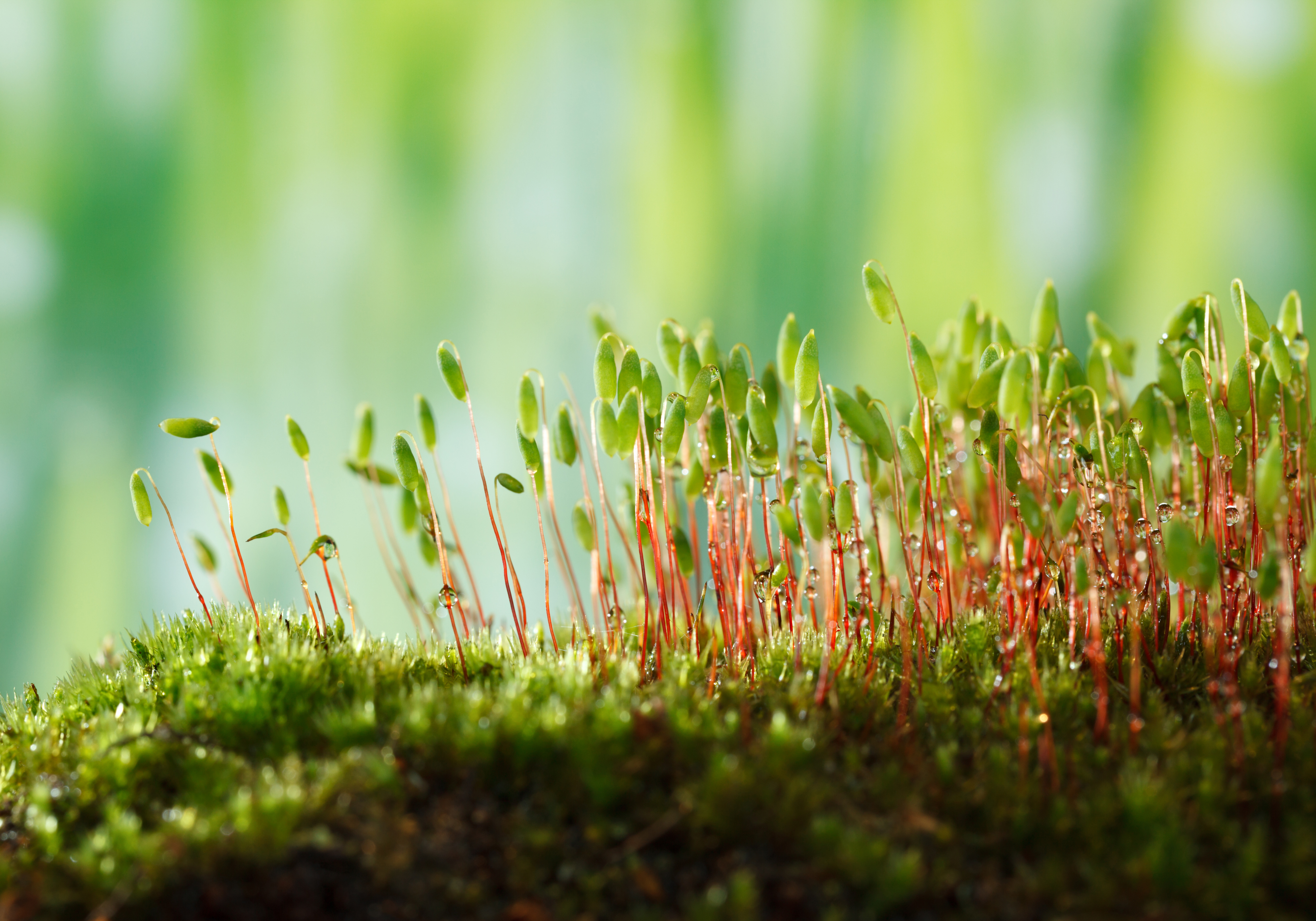 Three secrets of social science everyone in conservation needs to know