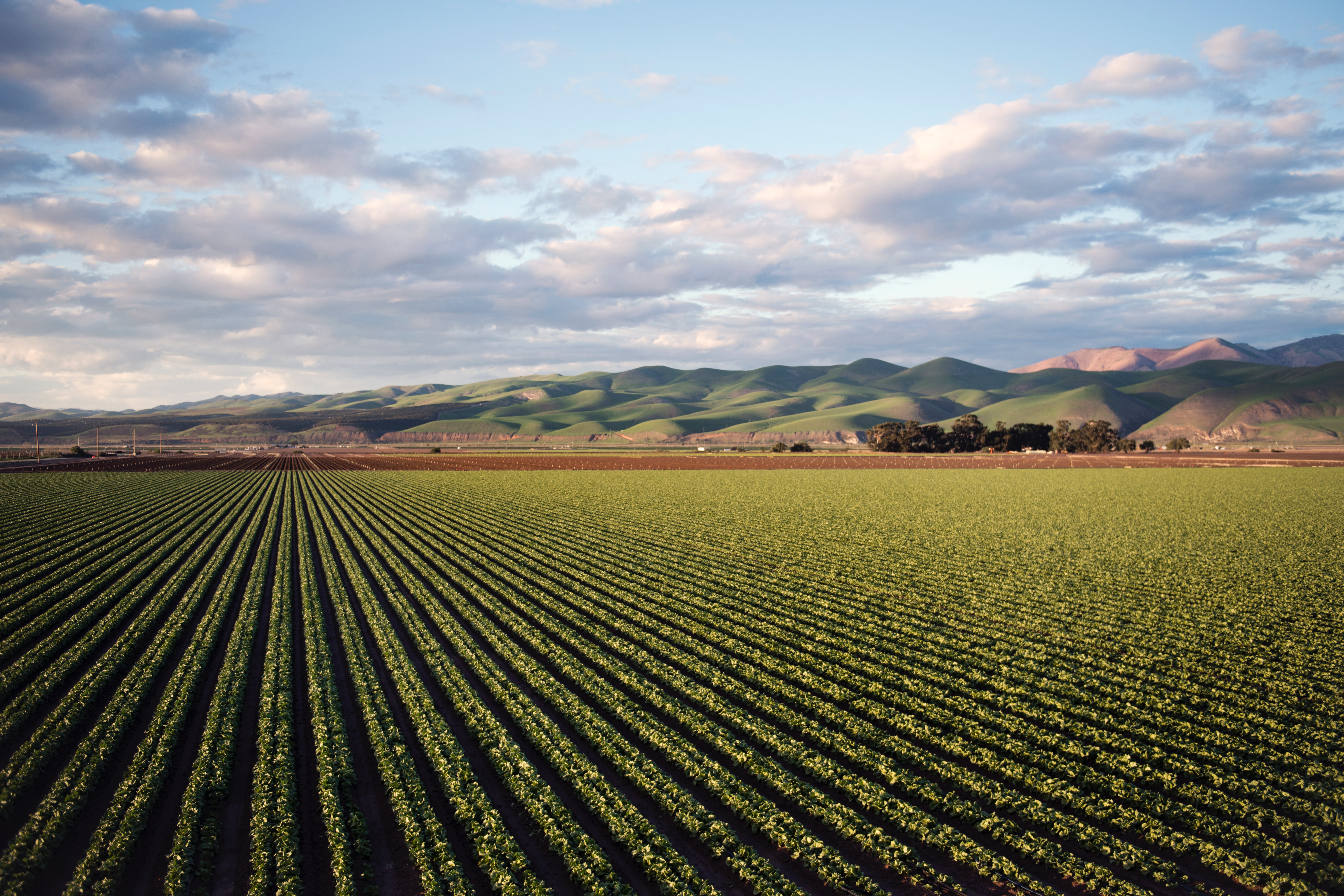 Forcing innovation to reduce nitrogen pollution