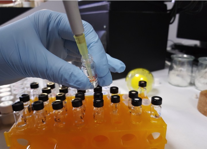 Speeding up thiol-disulfide molecular networks