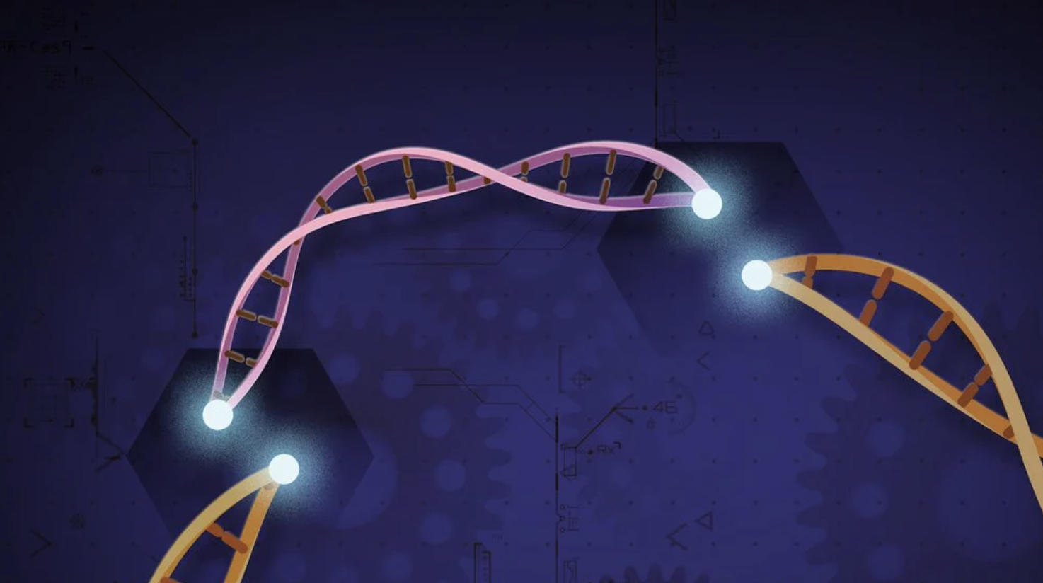 Precise cut-and-paste DNA insertion using engineered CRISPR-associated transposases