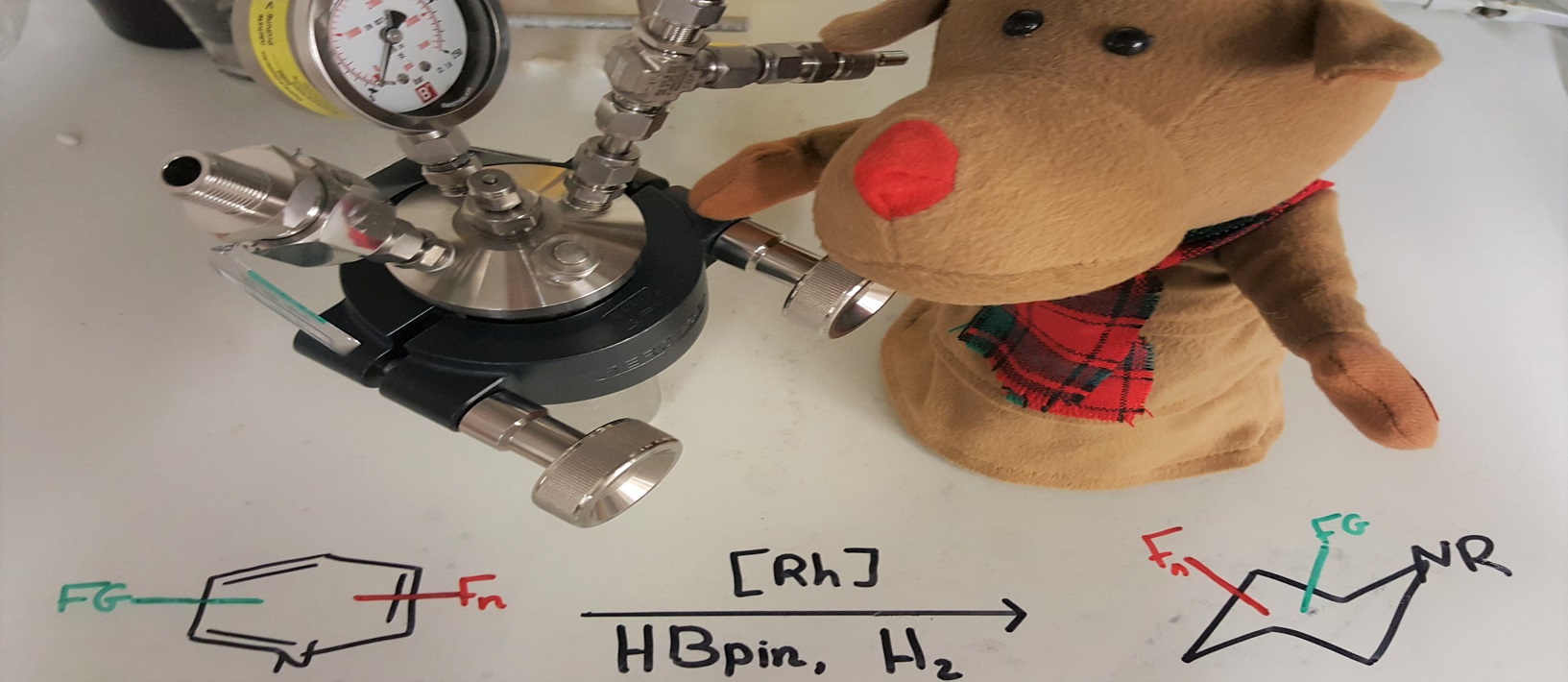 A dearomatization–hydrogenation process for the formation of all-cis-(multi)fluorinated piperidines