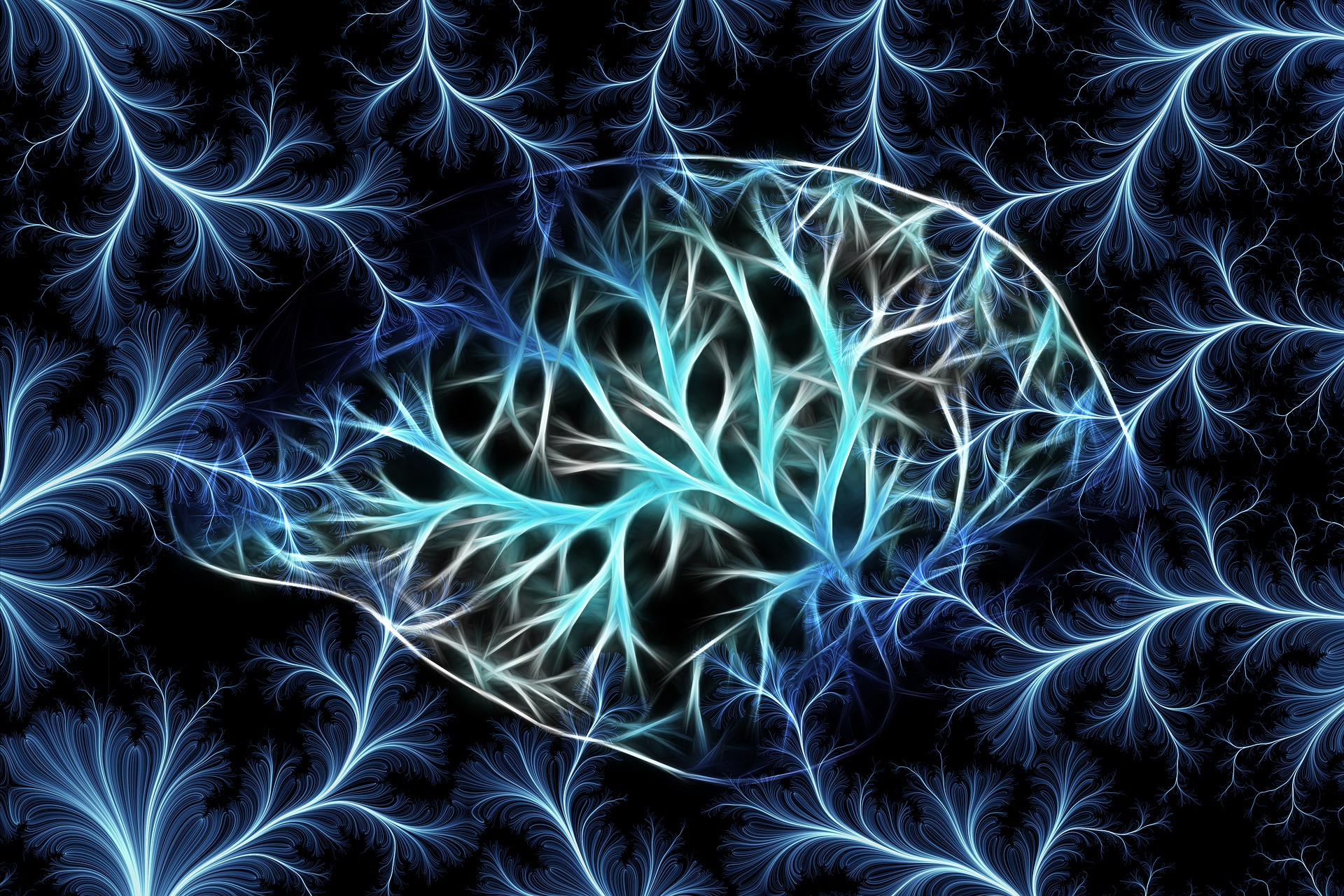 A new maestro in the brain’s orchestra