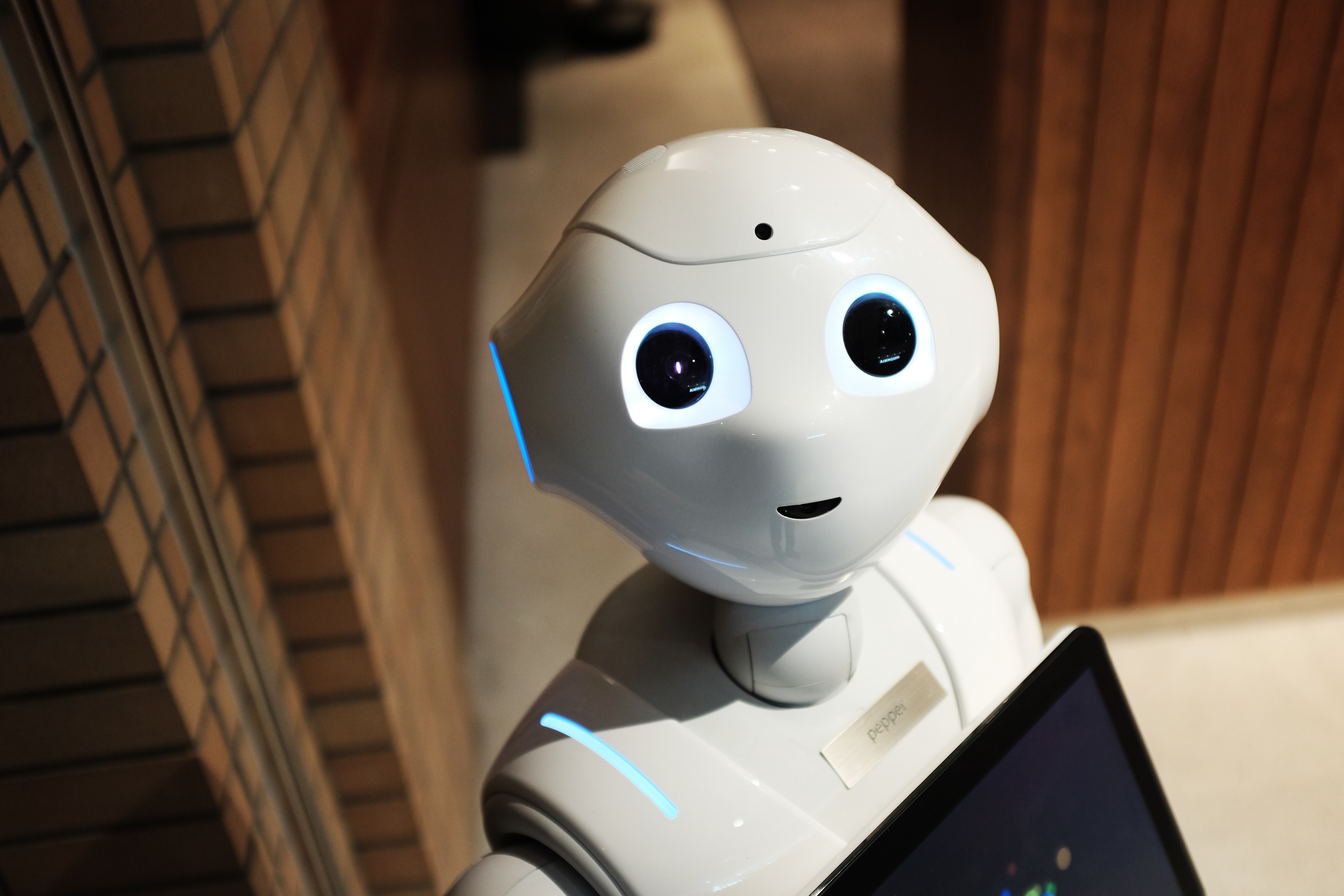 What Is A Robot?