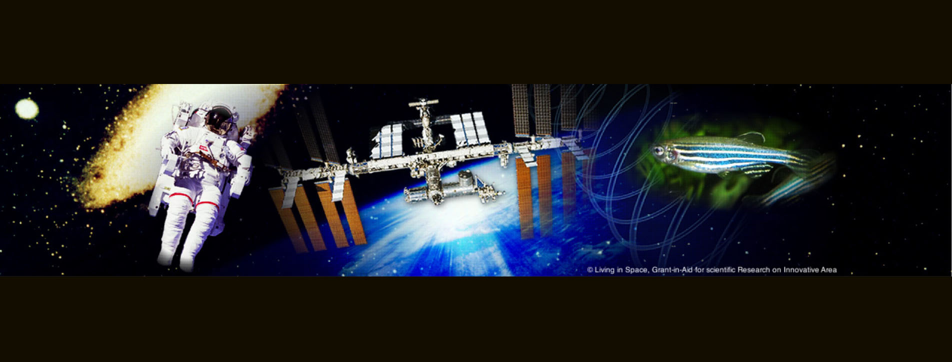 Findings from recent studies by the Japan Aerospace Exploration Agency examining musculoskeletal atrophy in space and on Earth