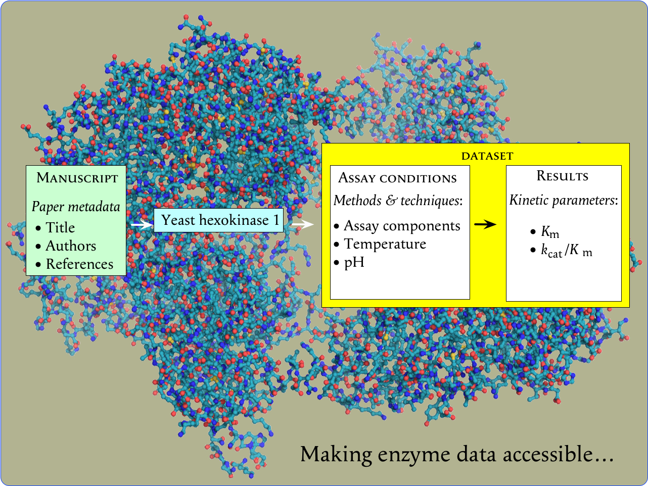 Making enzyme data fully accessible