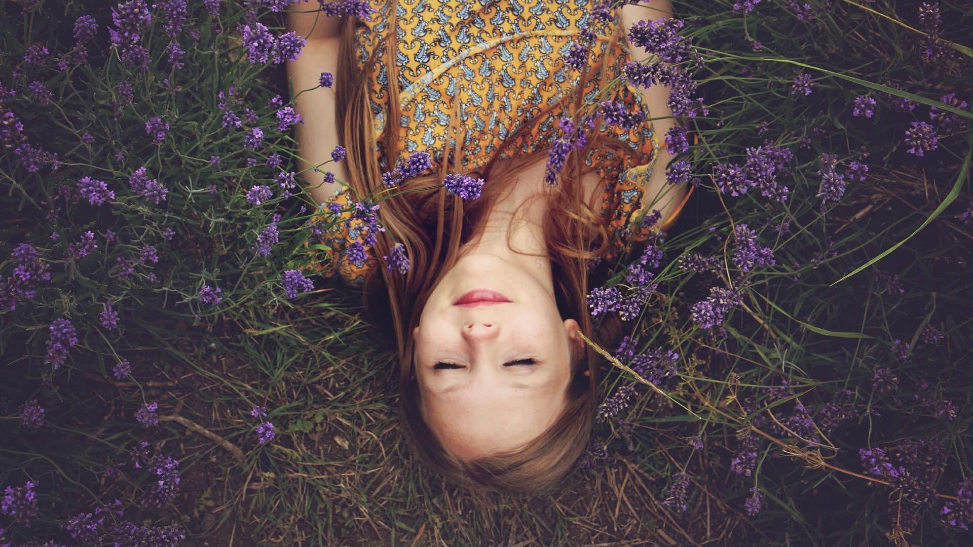 Book Review: Sniffing Out the Vast World of Smell