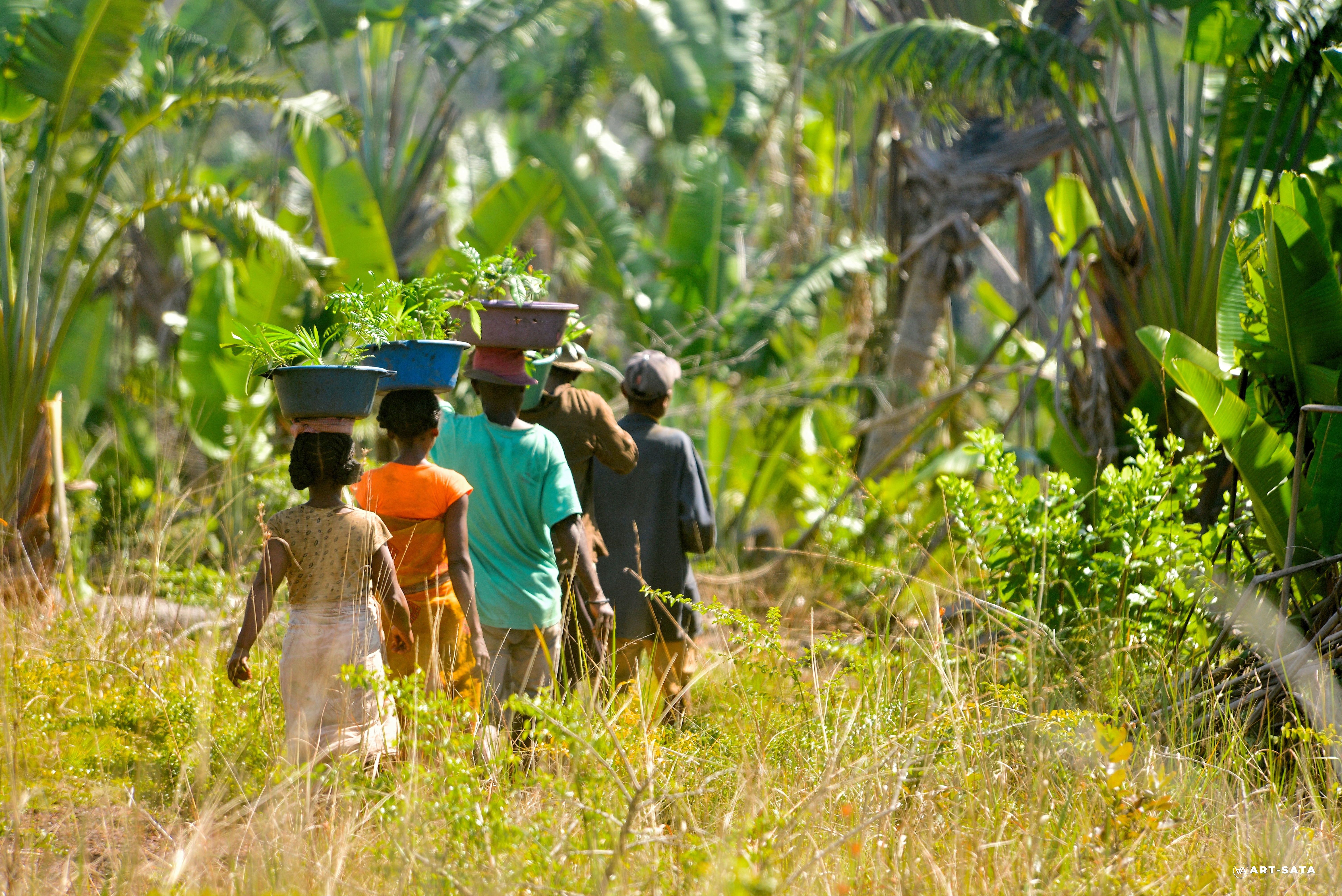 How preserving tropical rainforests could prevent pandemics