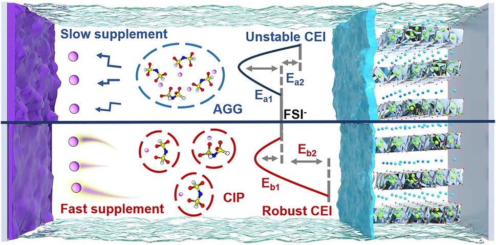 Anion–Diluent Decoupled Solvation Chemistry in Ionic Liquid‑Based Localized High‑Concentration Electrolytes Toward High‑Voltage Lithium Metal Batteries