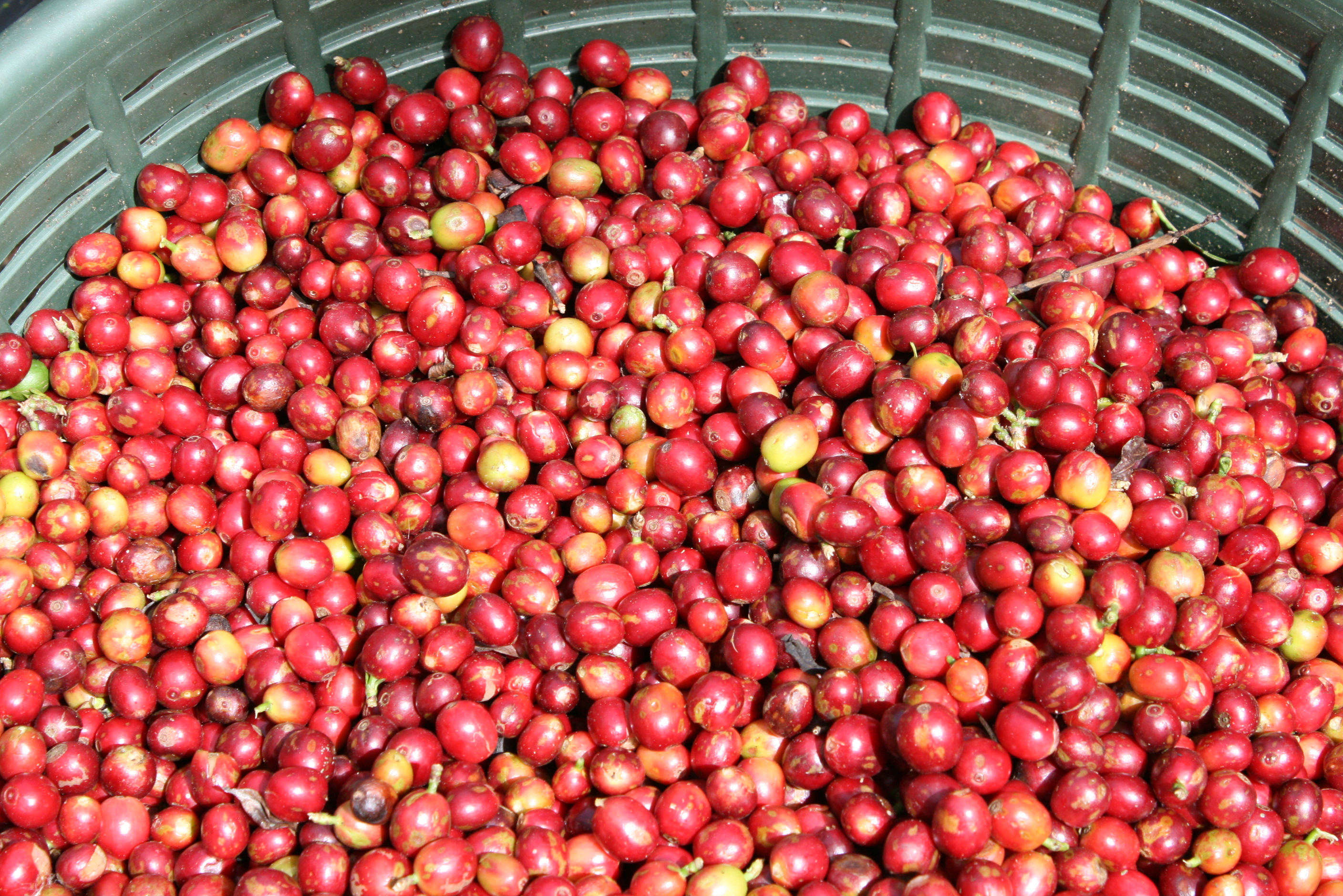 Grounding Ecological Patterns in Farmer Perspectives