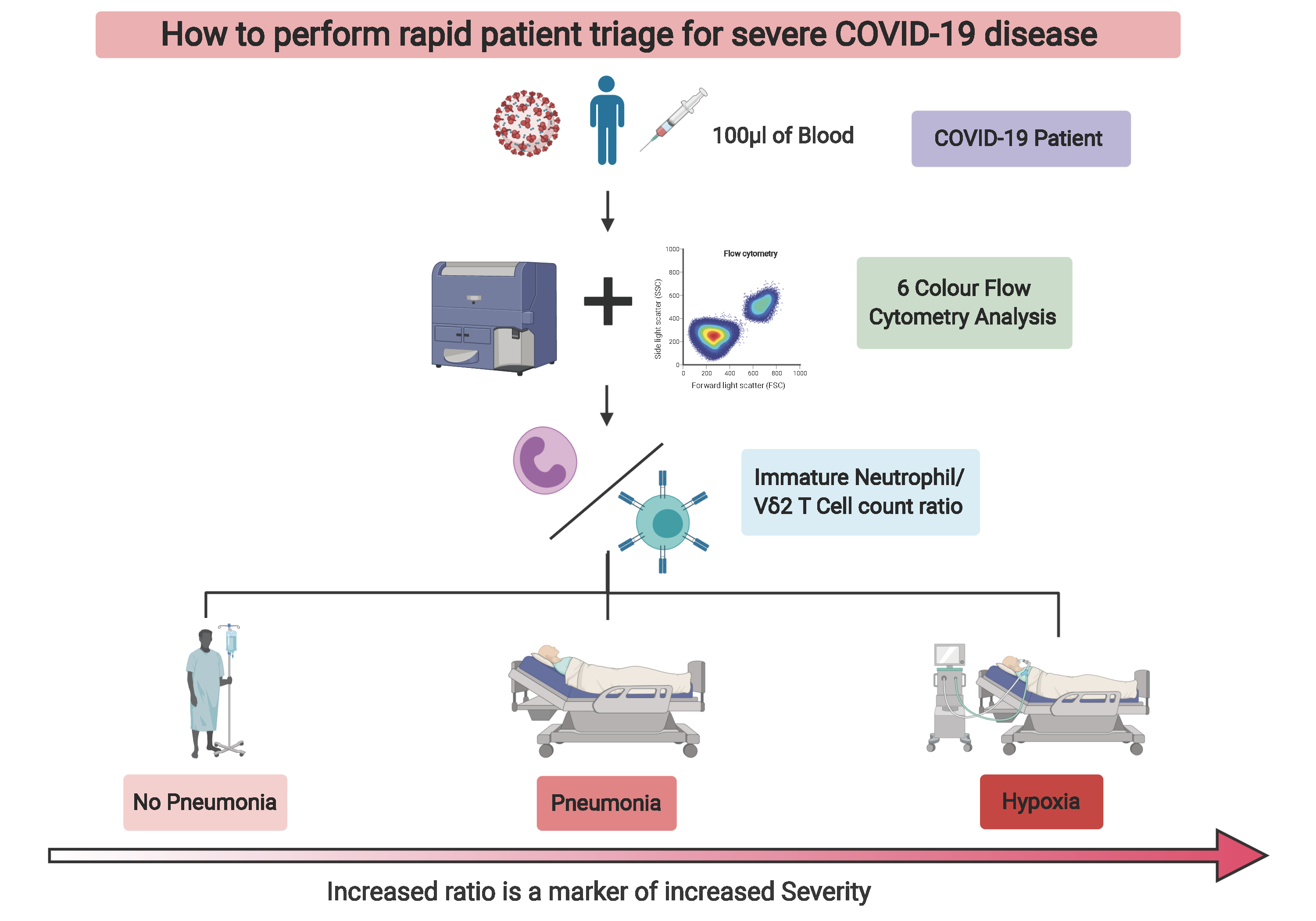 Immunophenotyping COVID-19 patients during the first epidemic wave in Singapore