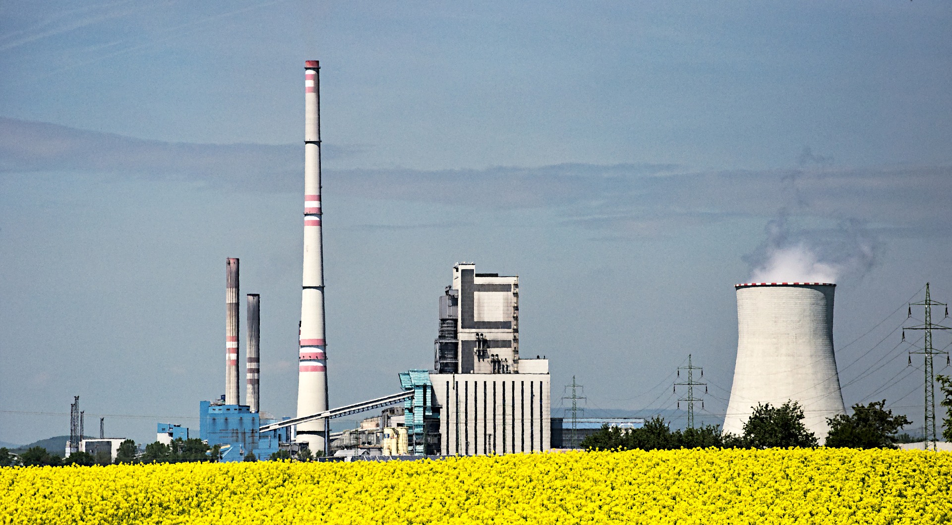 How policy instrument choice will shape attitudes to negative emissions