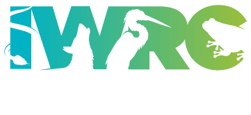 Free IWRC Memberships available