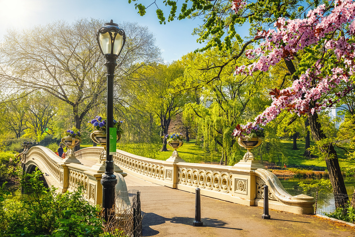 The next NYC FEM Meeting is Thursday, May 9th!