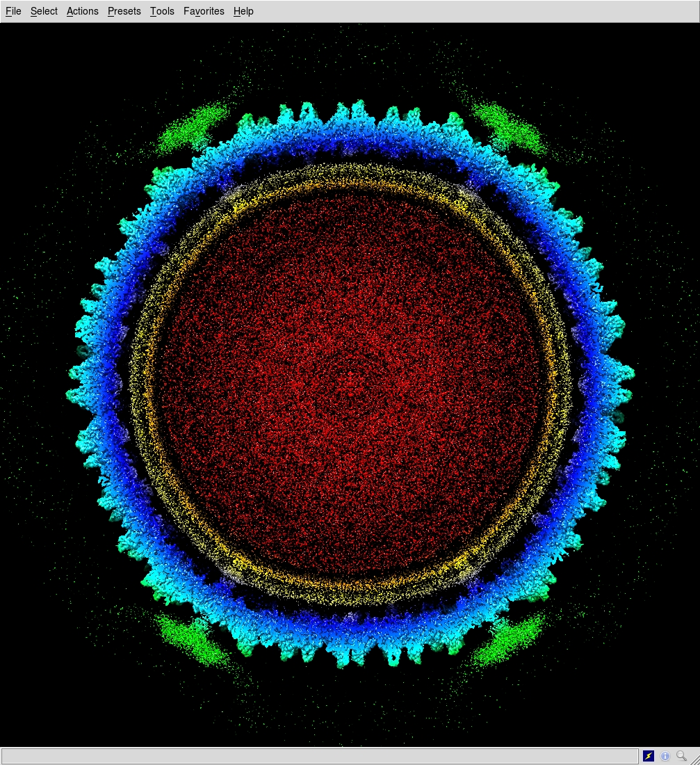 Cryo-EM elucidates the assembly of novel viruses