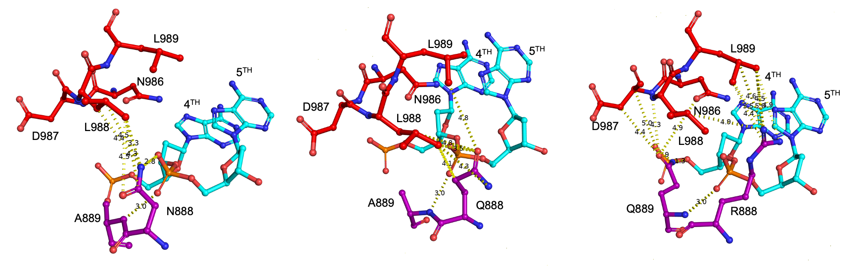 Engineering CRISPR-Cas9 proteins en masse with much less experiments