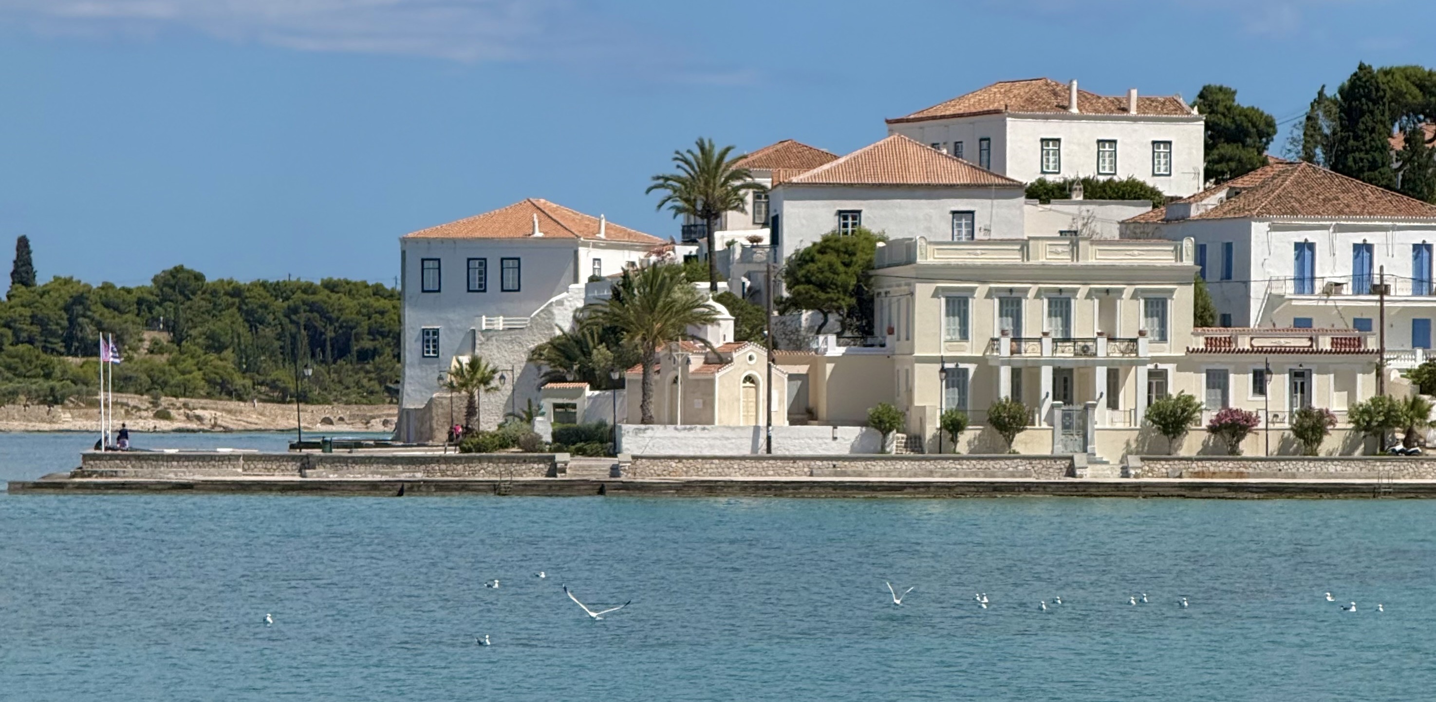 Biology on the beach: Student reflections from an Advanced Course in Spetses