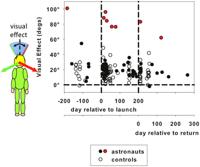 Behind the Paper - The effect of long-term exposure to microgravity on the perception of upright