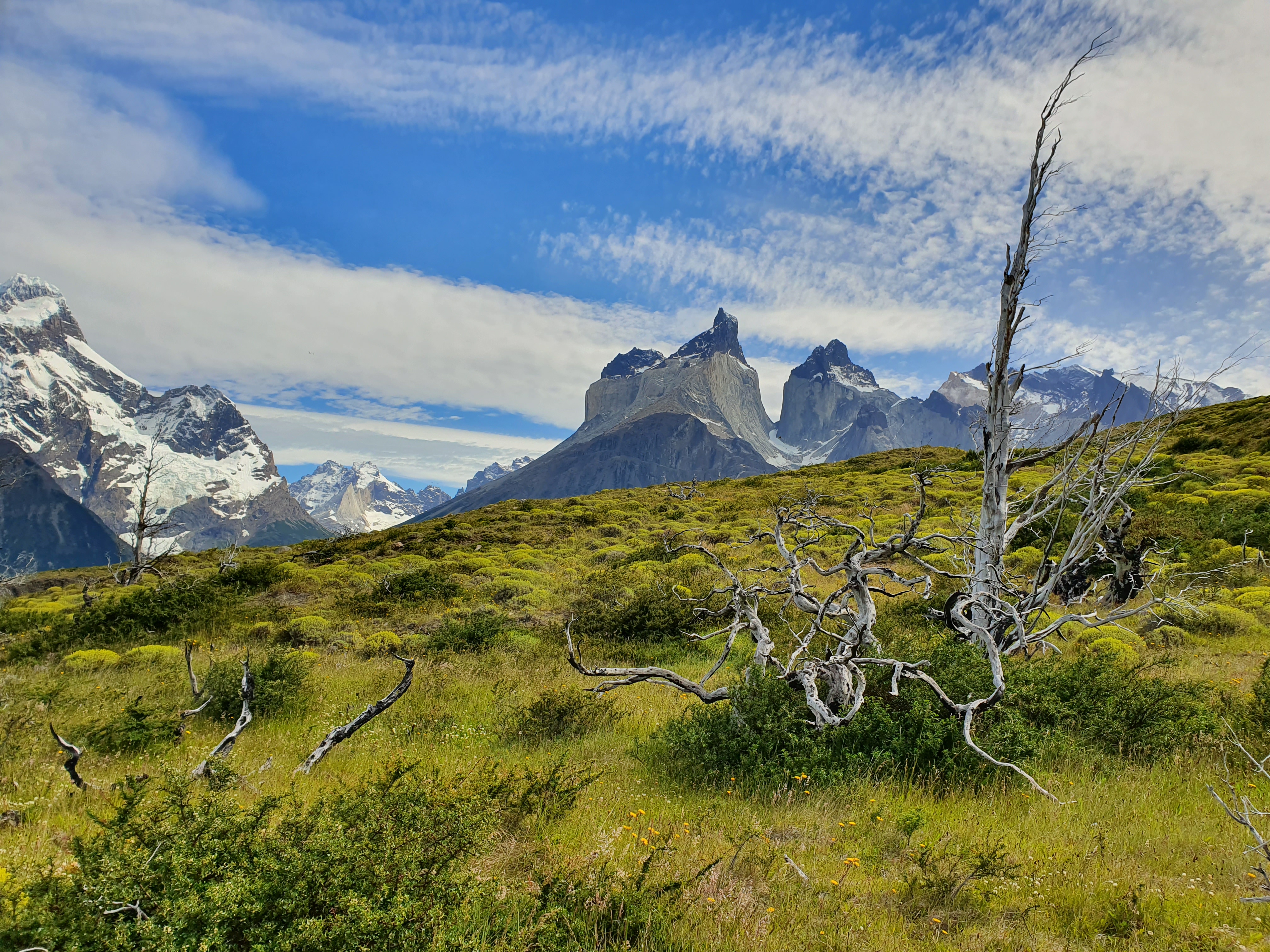 How to halt the global decline of lands