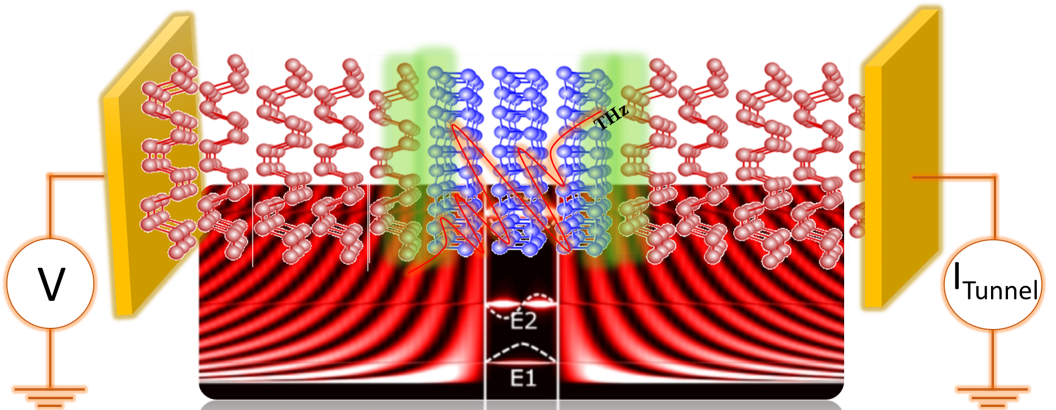 Resonant tunnelling in a twist controlled anisotropic van der Waals homostructure