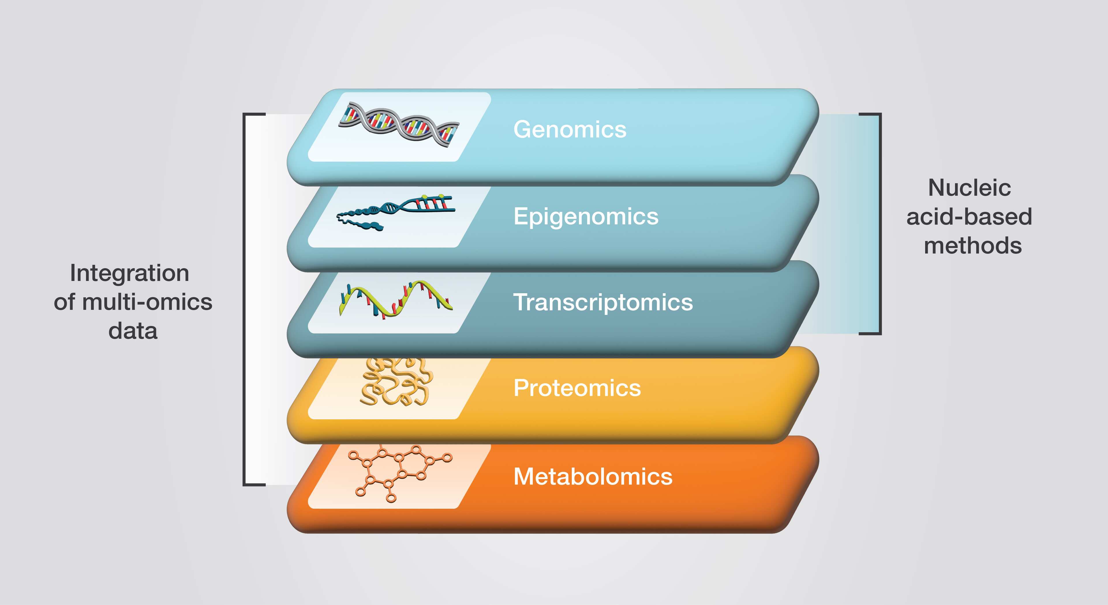 Multiomics Dataset on Primary Macrophages