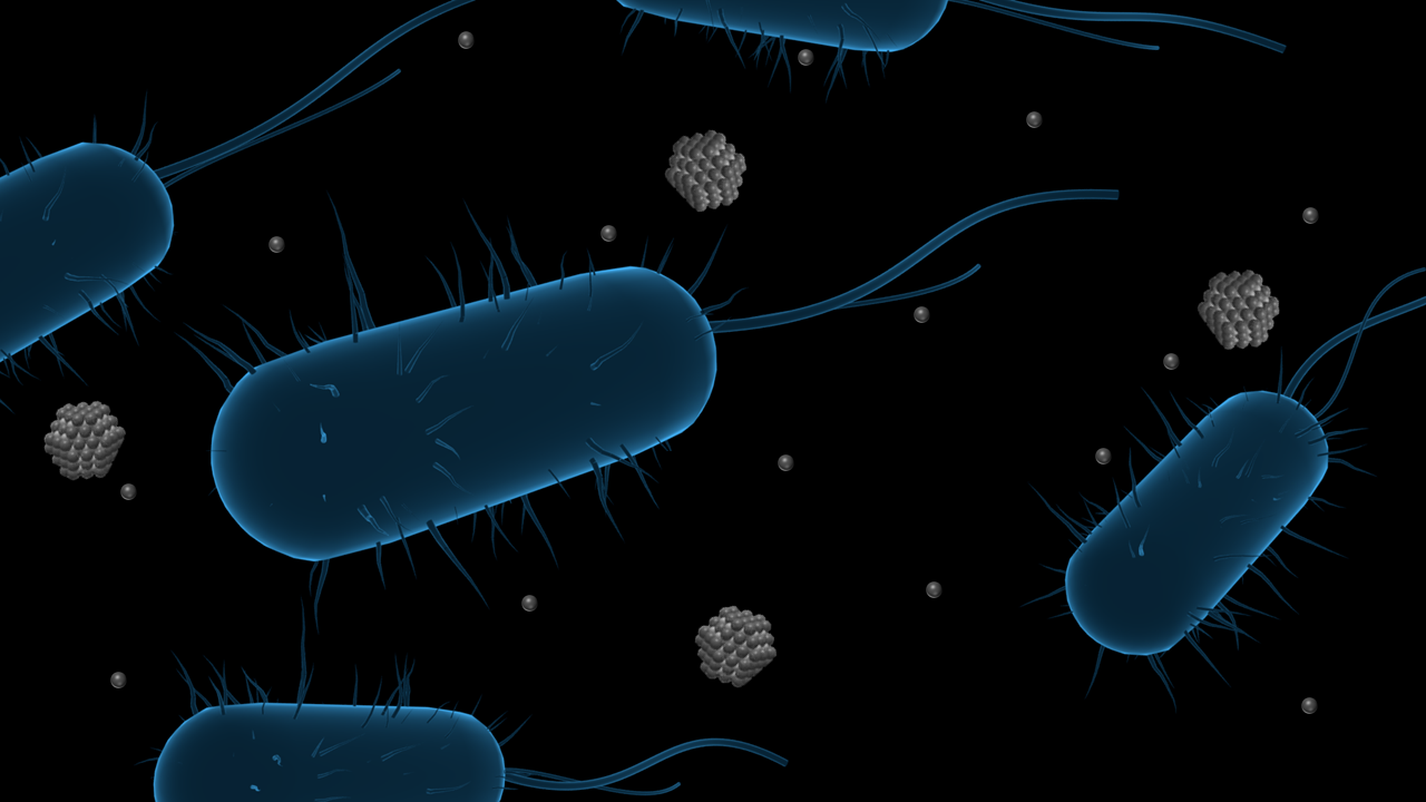Unraveling a mechanism of bacterial resistance to silver nanoparticles