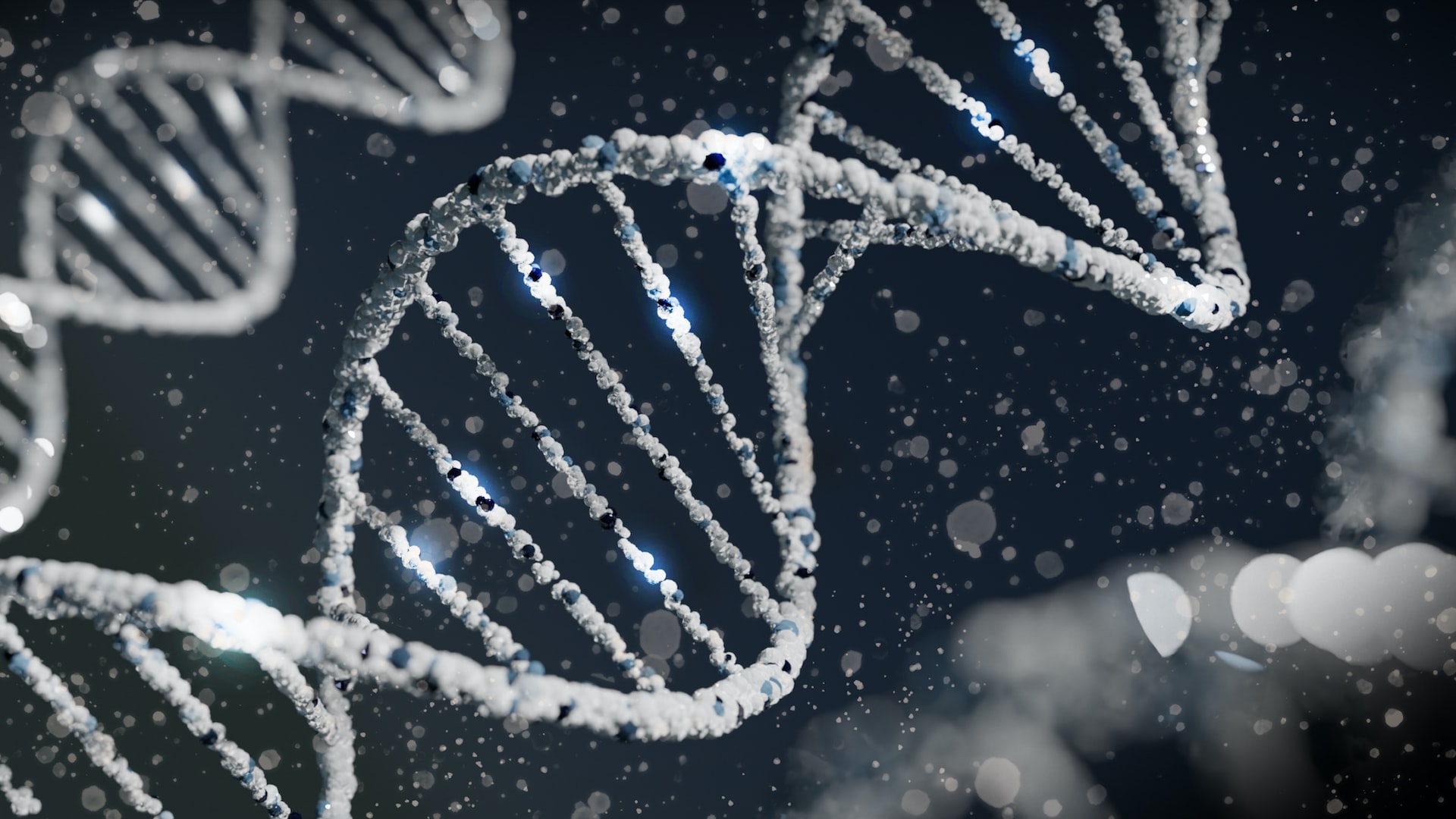 Eileen Furlong: “New methods and concepts in one area of biology can really help to illuminate another.“