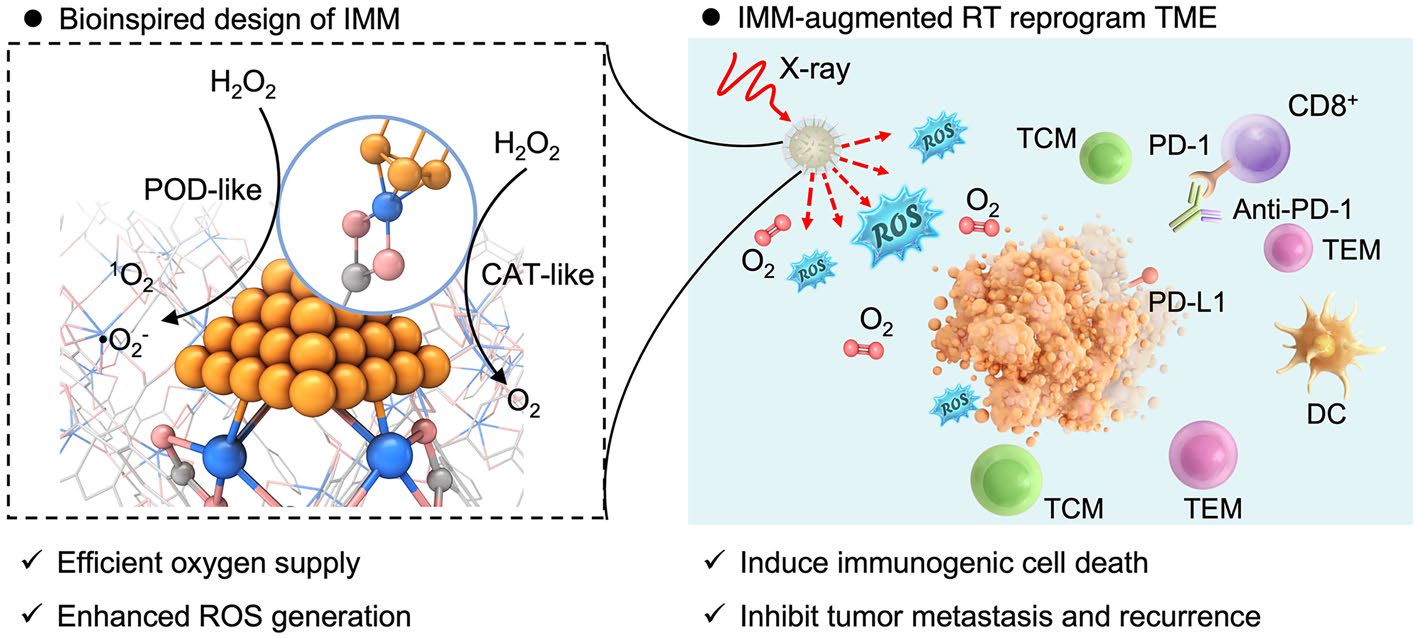 IrMn‑Cluster‑Based Artificial Metalloenzymes with Radiosensitized Systemic Antitumor Responses to Prevent Malignant Tumor Metastasis and Recurrence