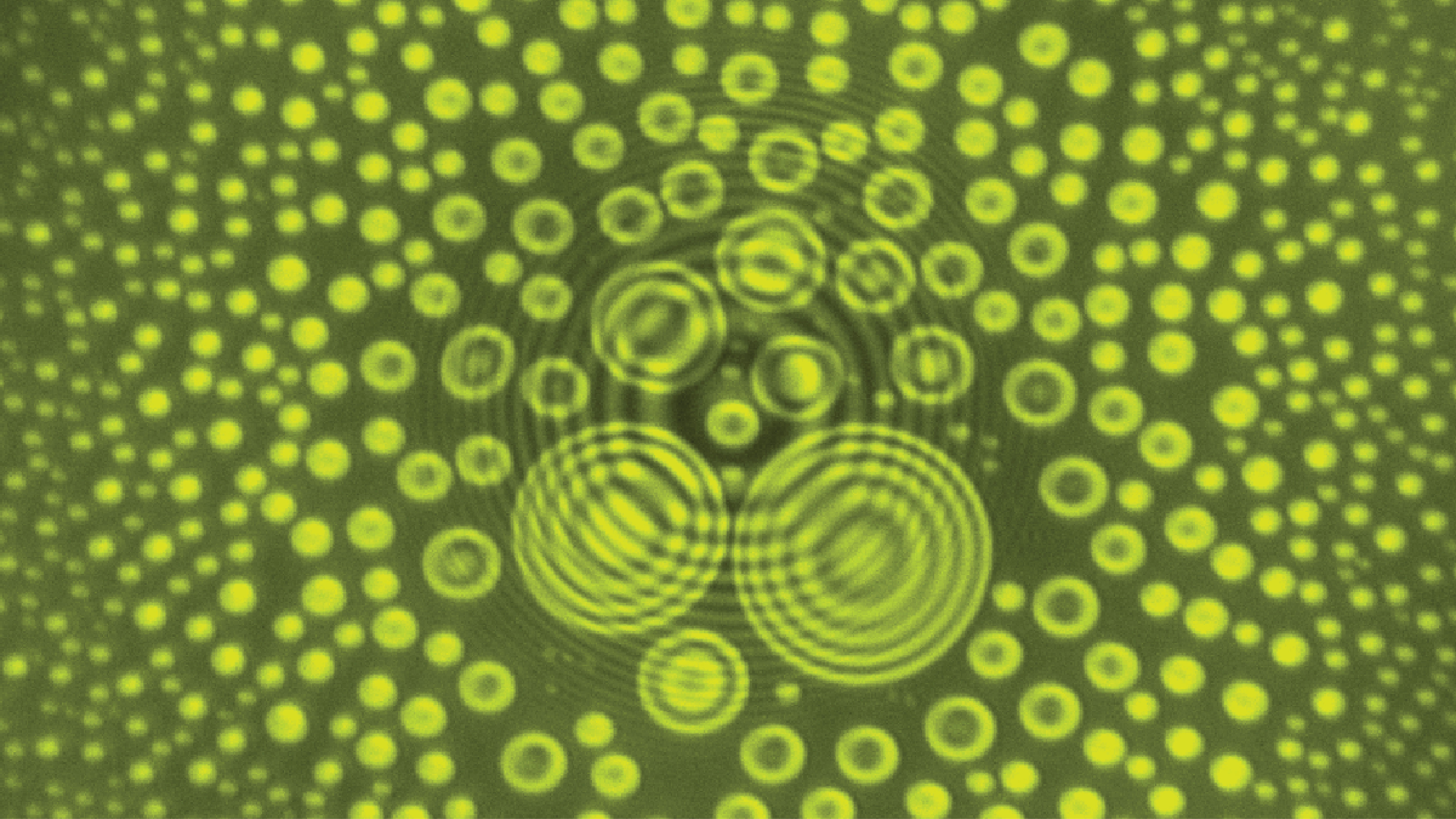 A serendipitous discovery of a novel wetting mechanism