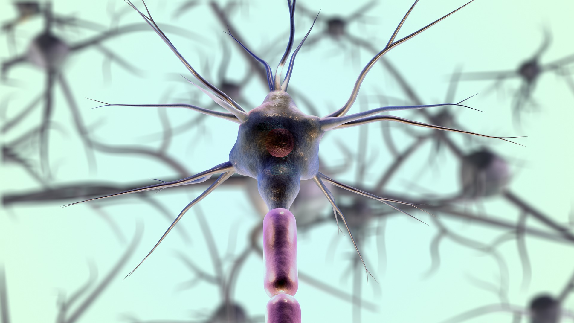 How the developing brain adapts