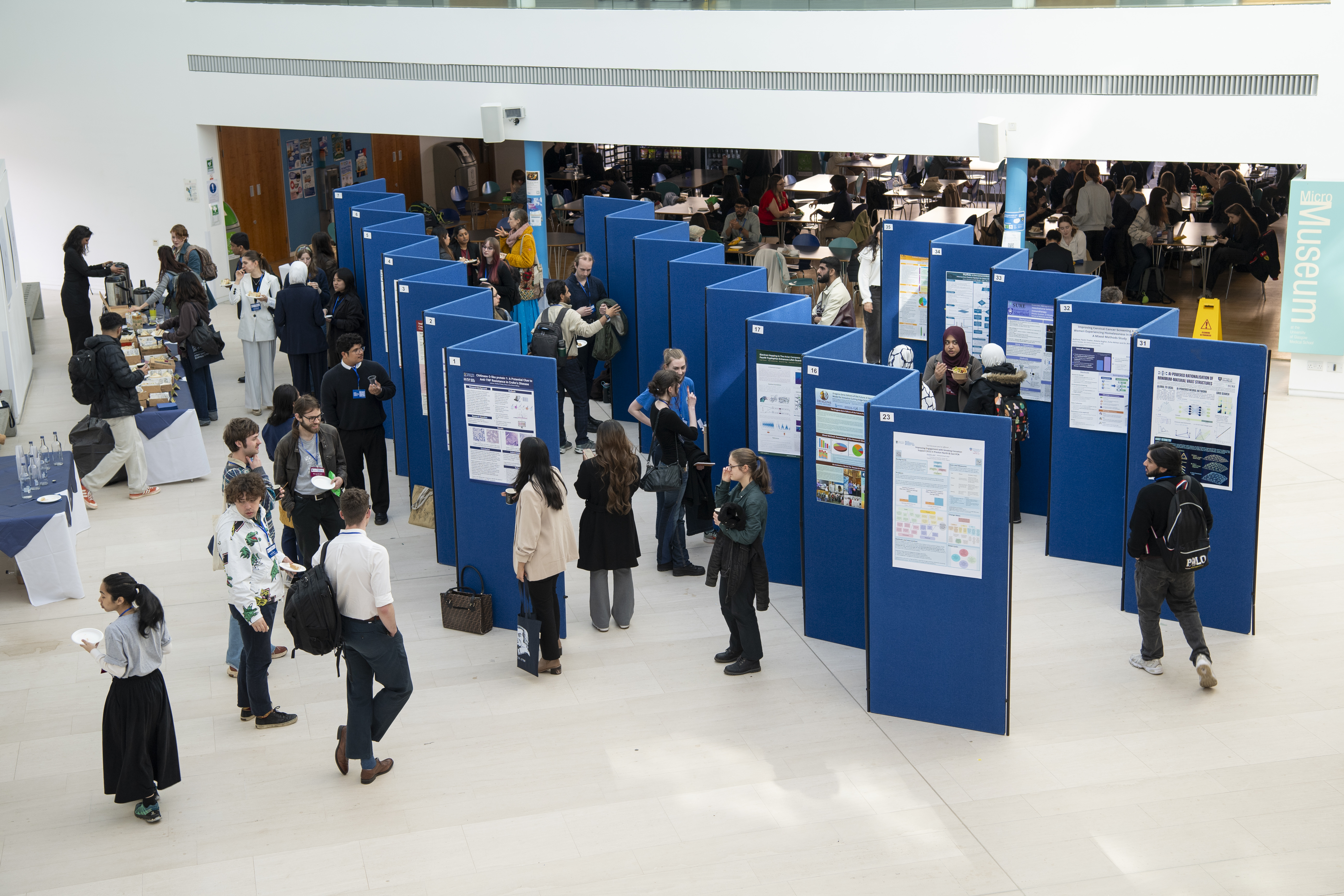 Reflection: British Conference of Undergraduate Research