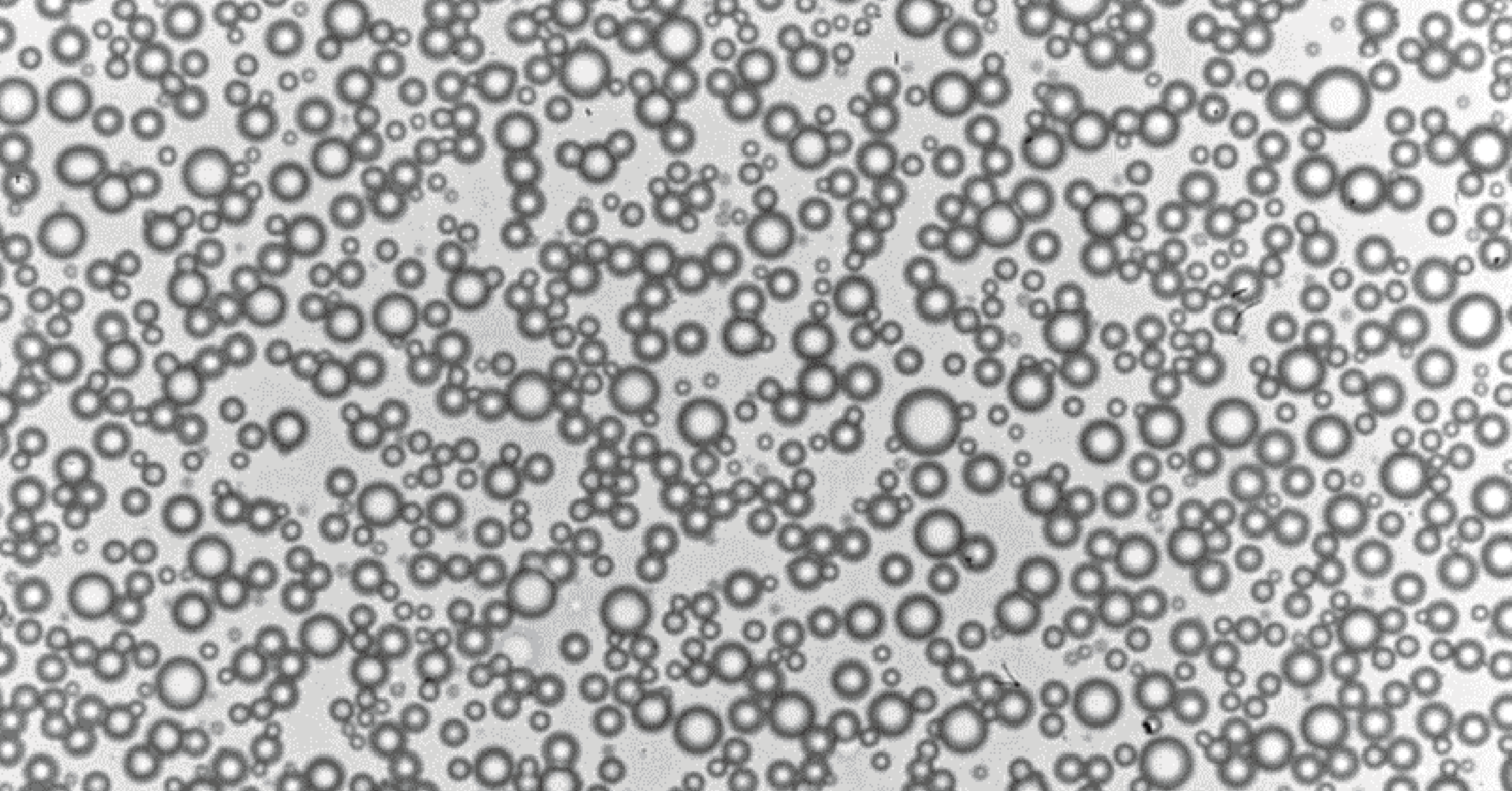 Enhancing chemical reactions in minimal peptide condensates