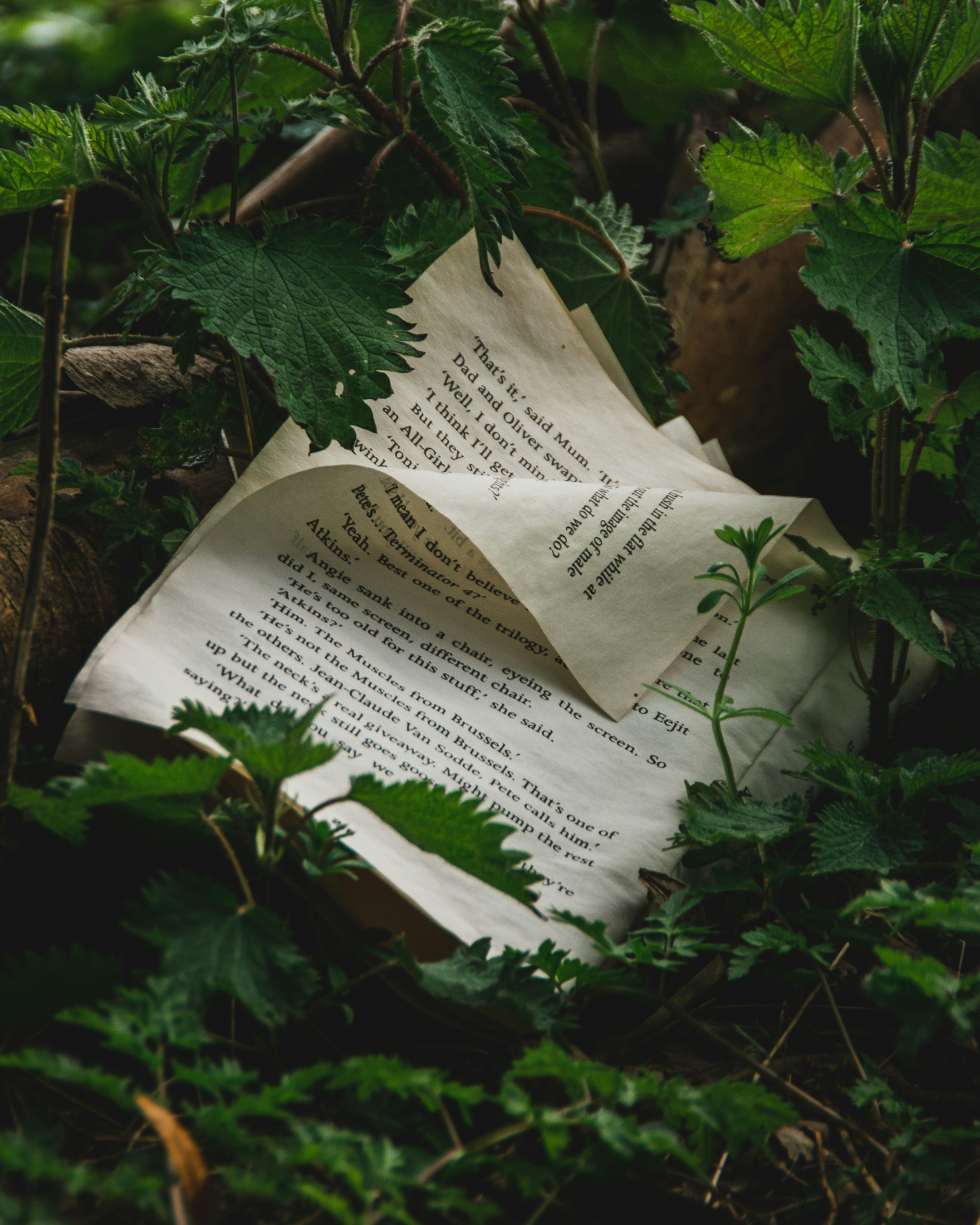 Environmental Writing Competition 