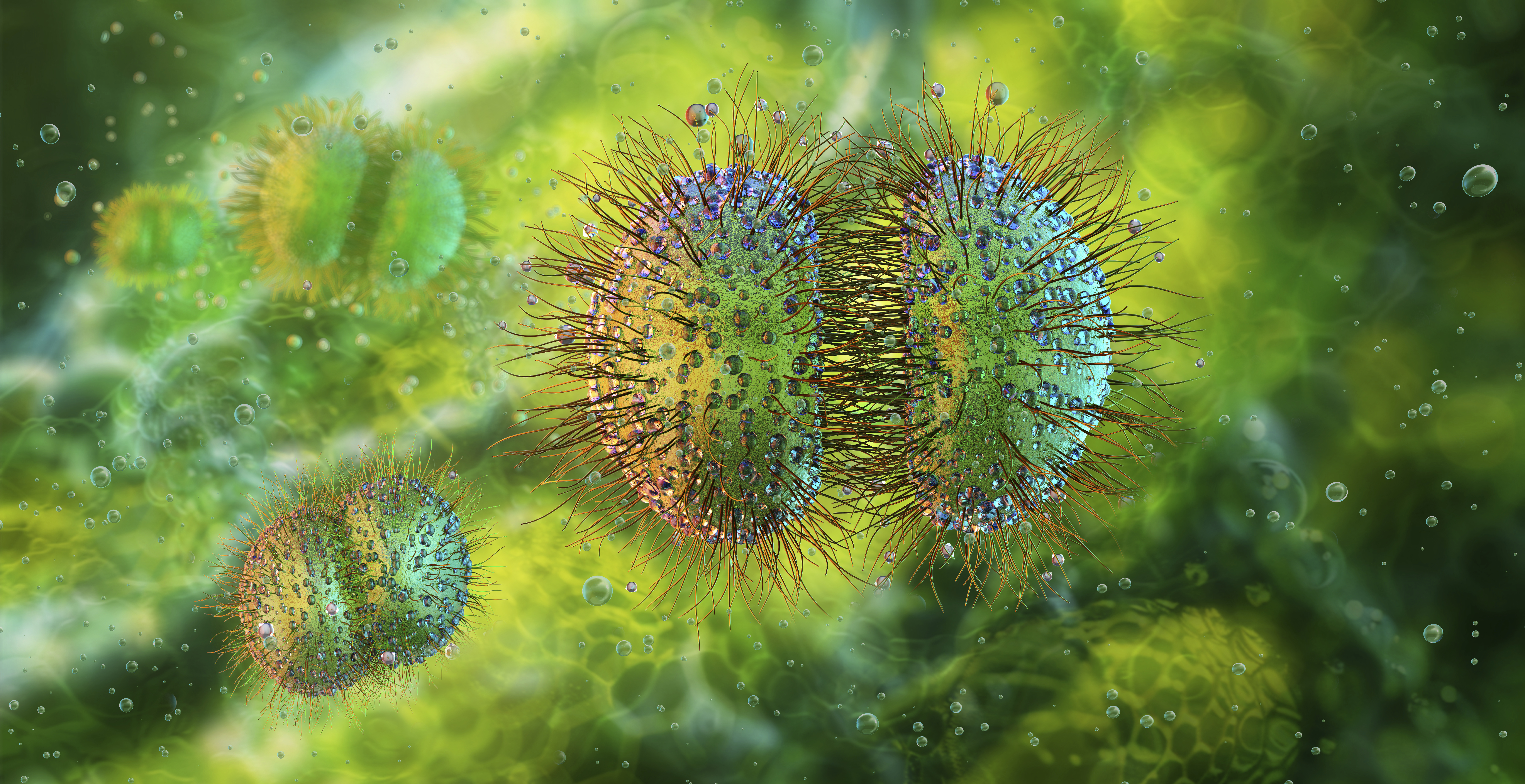 What are we learning from the UK's Meningitis B outbreak?