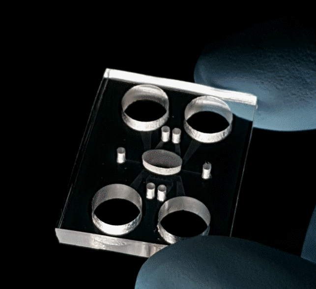 Novel monolithic organ-on-a-chip fabrication by digital successive laser pyrolysis of PDMS