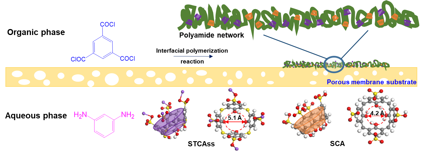 Macrocyclic nano-fillers enabled size-selective molecular sieving for organic solvent forward osmosis