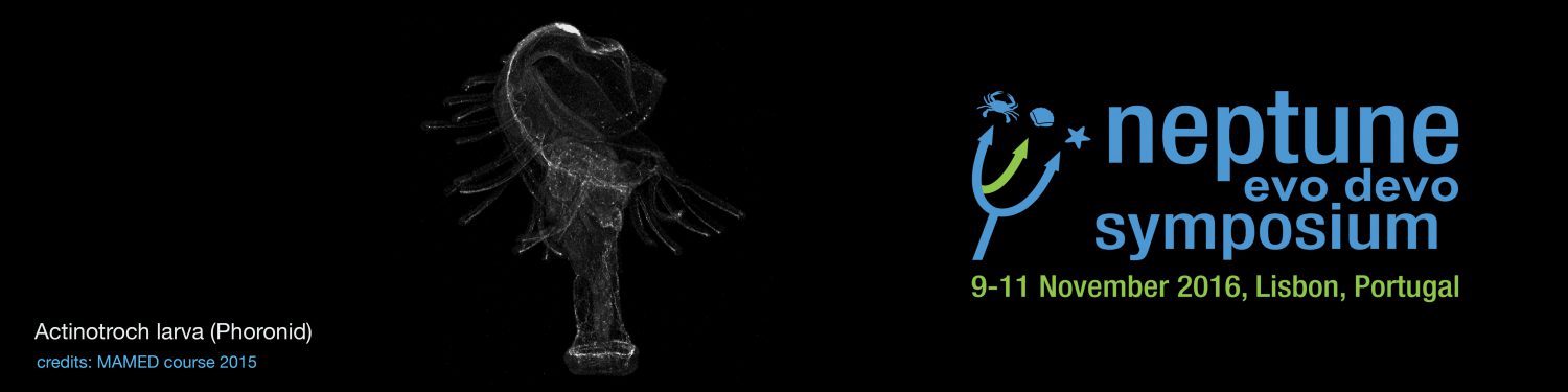 Marine organisms are exciting models for evo-devo 