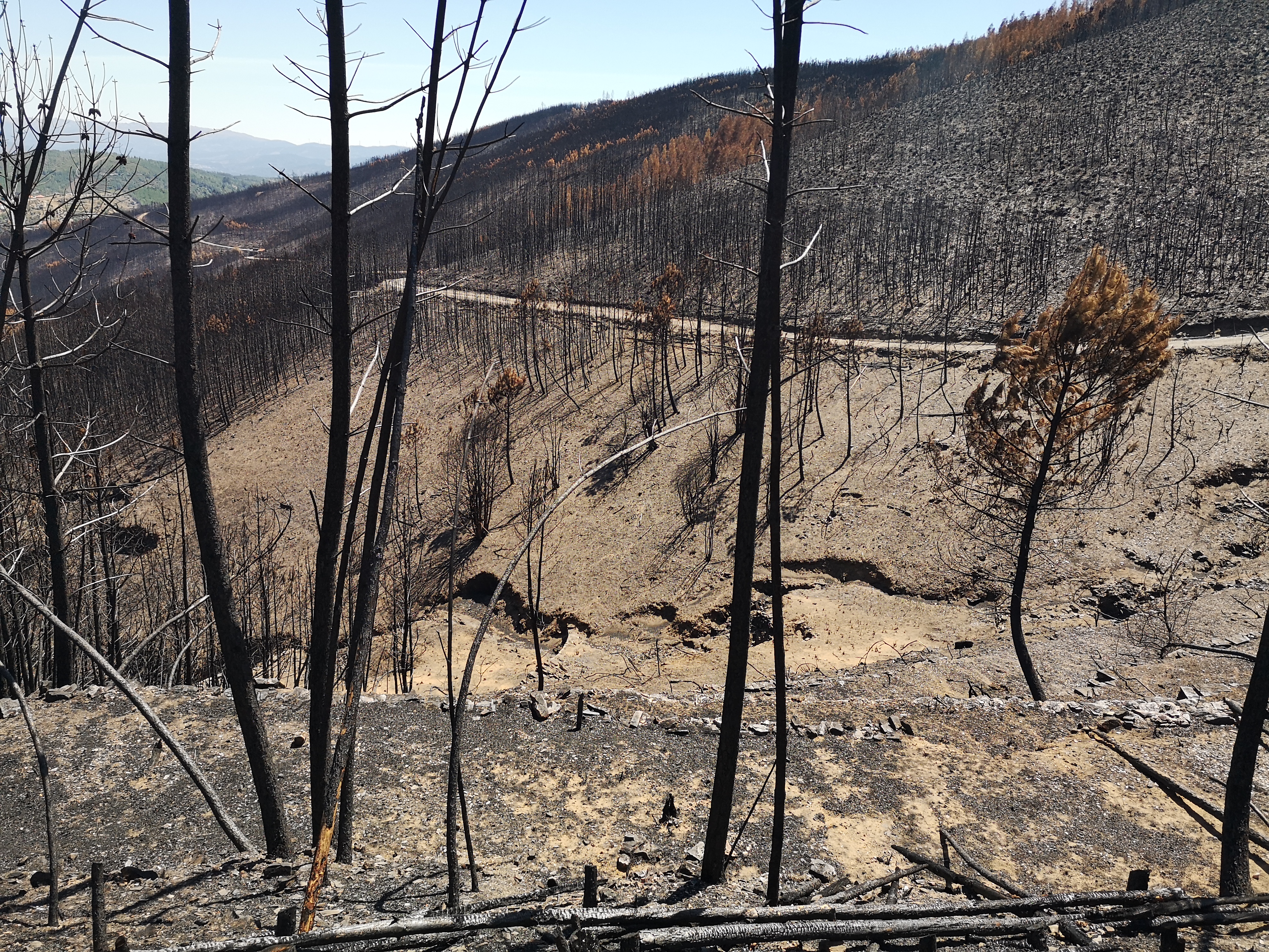 Why post-fire management matters for resilient European landscapes