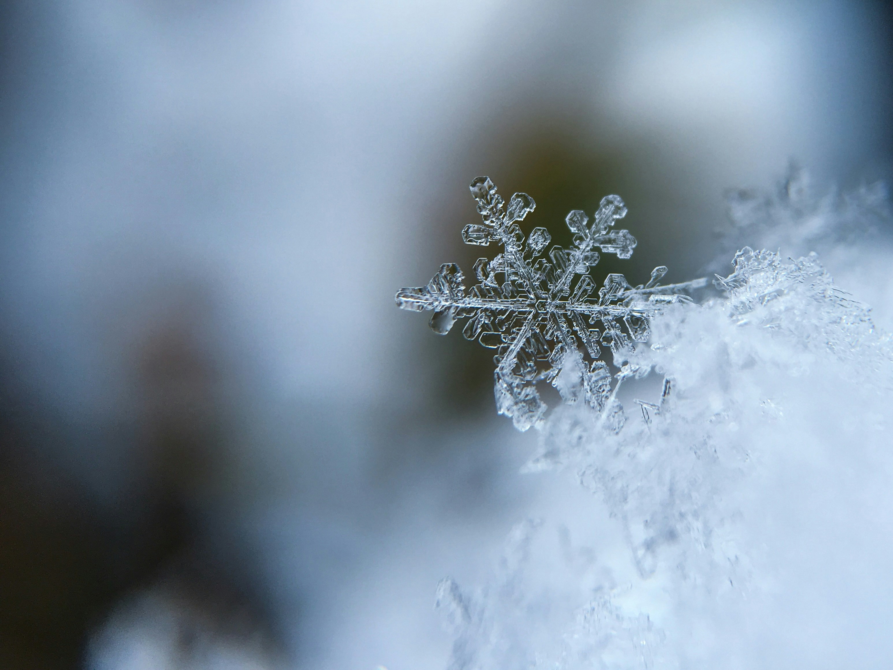 Quarterly Highlights from the Medicine and Life Sciences Communities