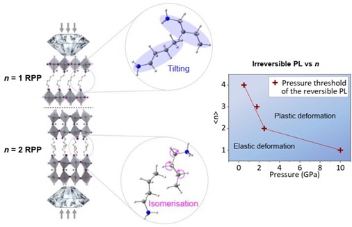 Pressure driven rotational isomerism in 2D hybrid perovskites