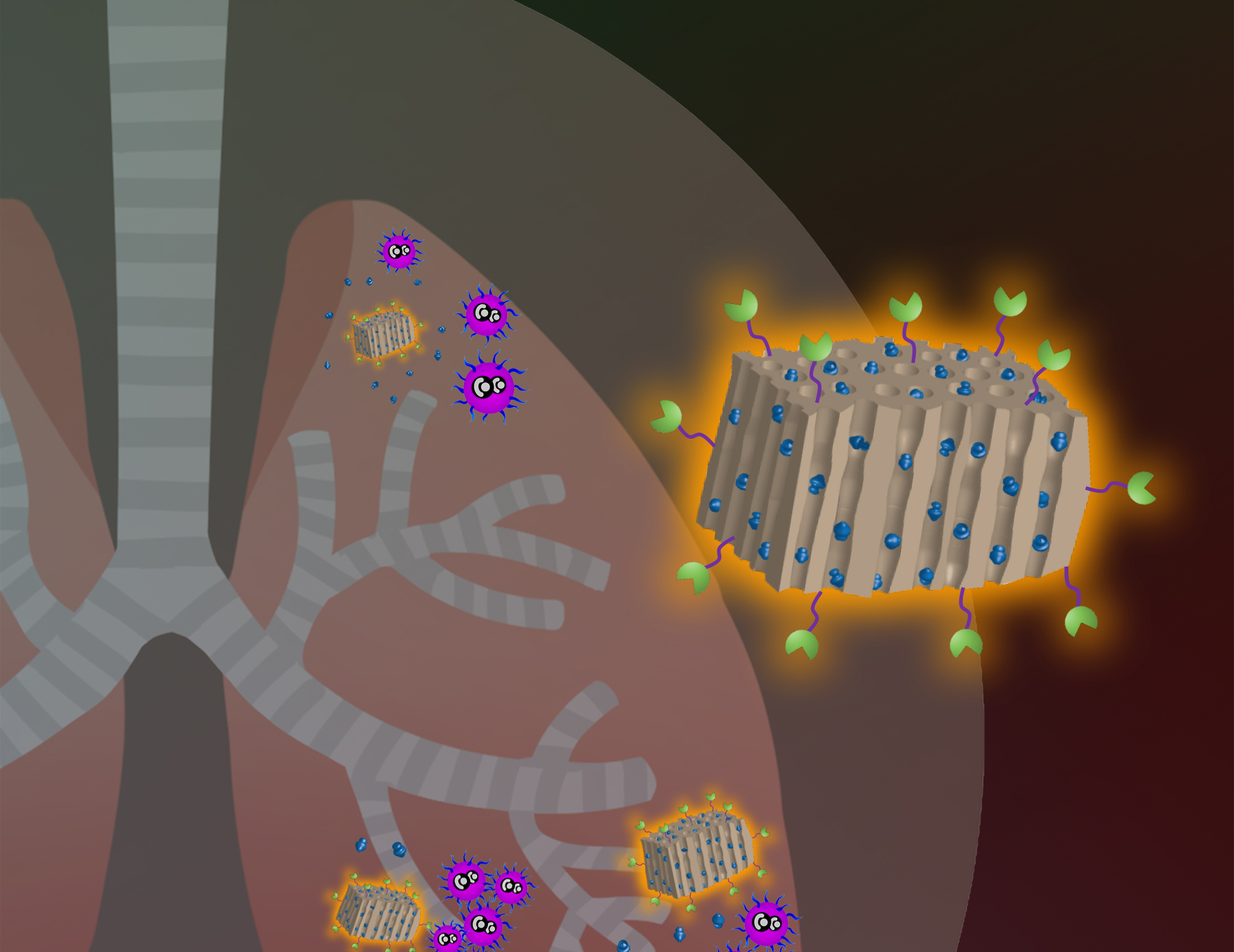 Enhancing antibiotics with targeted nanoparticle delivery