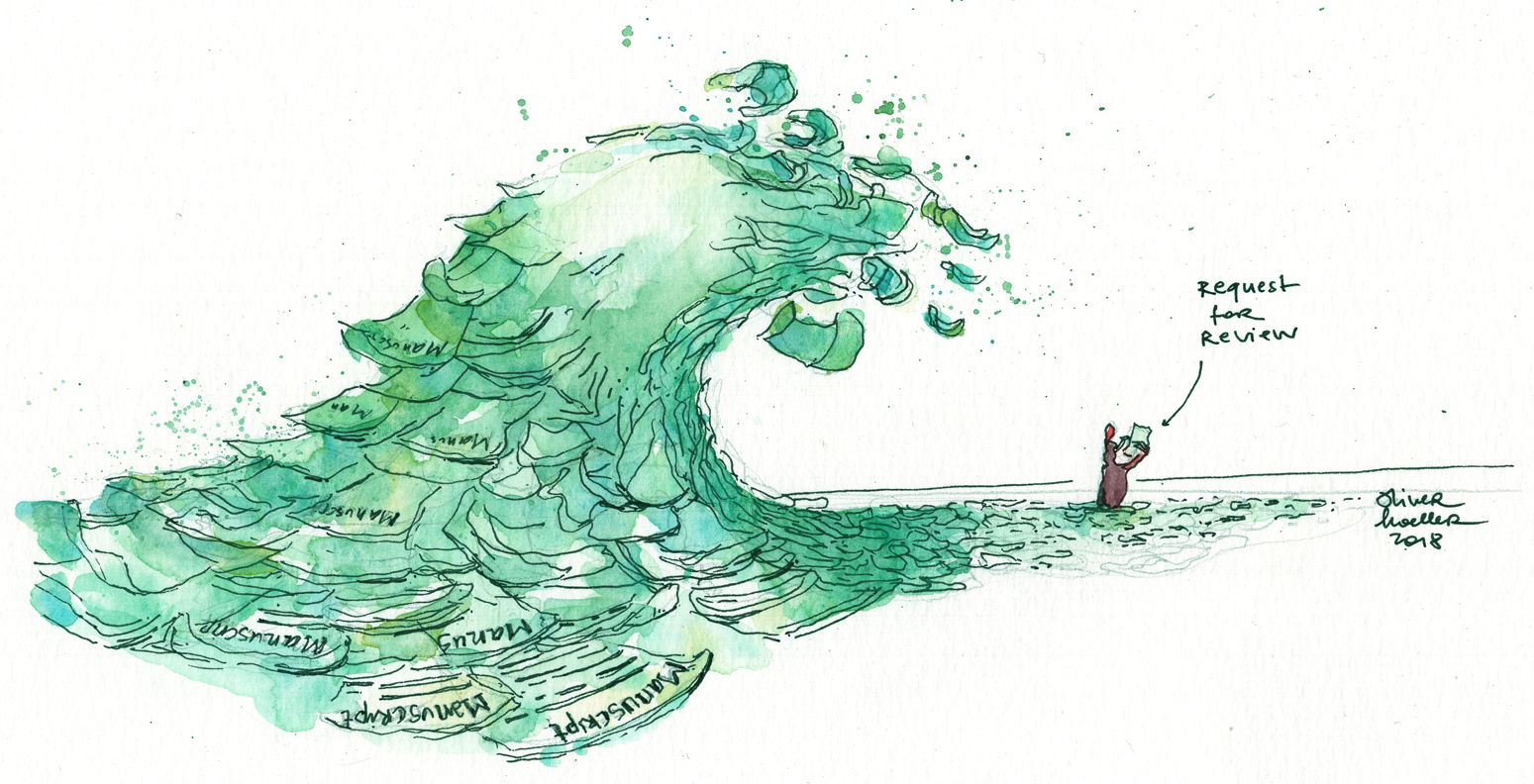 Can, can’t, Canute