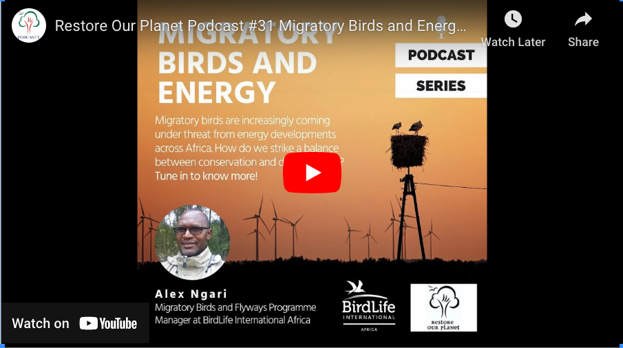 Restore Our Planet Podcast #31 Migratory Birds and Energy: Alex Ngari