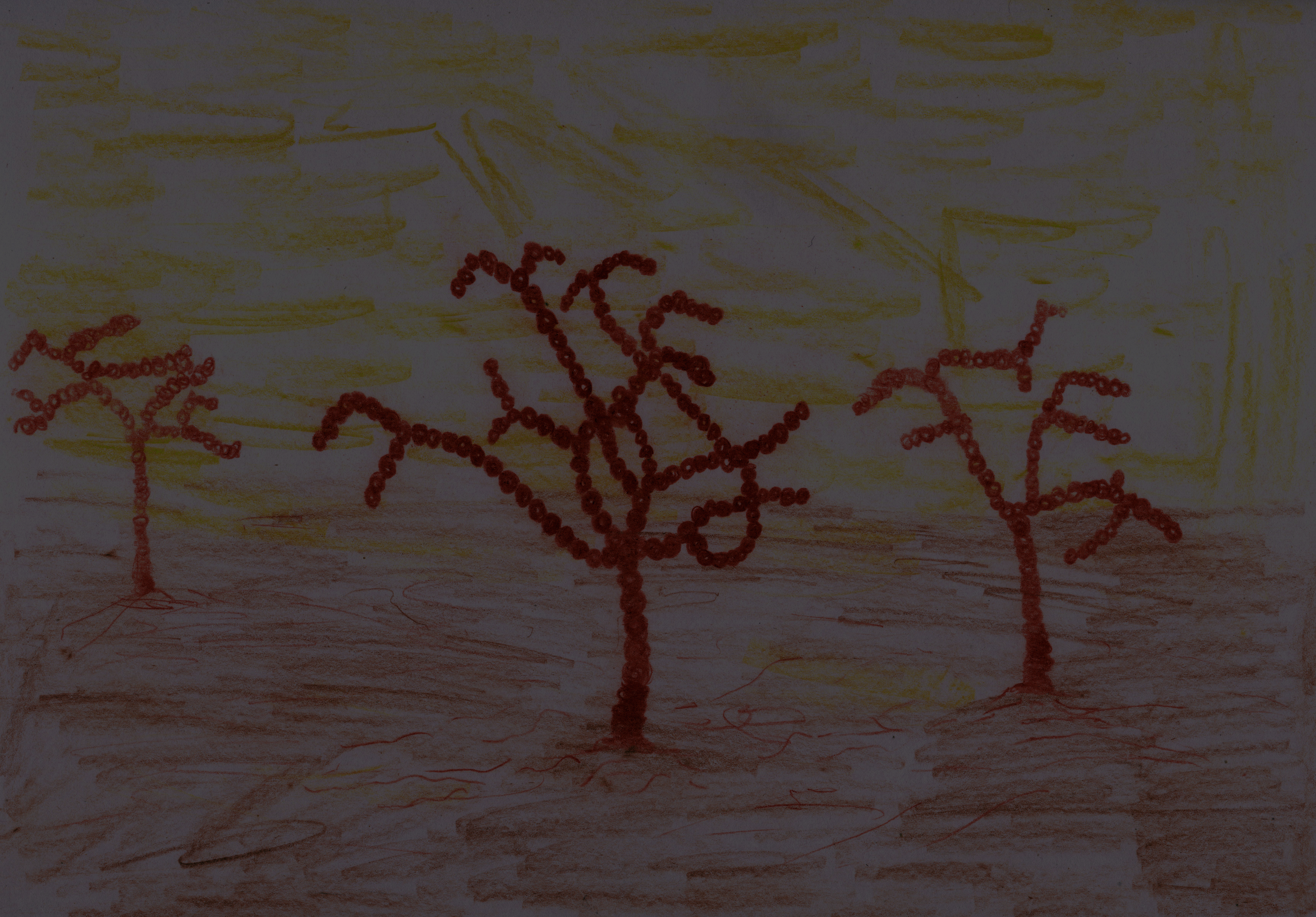 Acrasis kona: light version of aggregative multicellularity