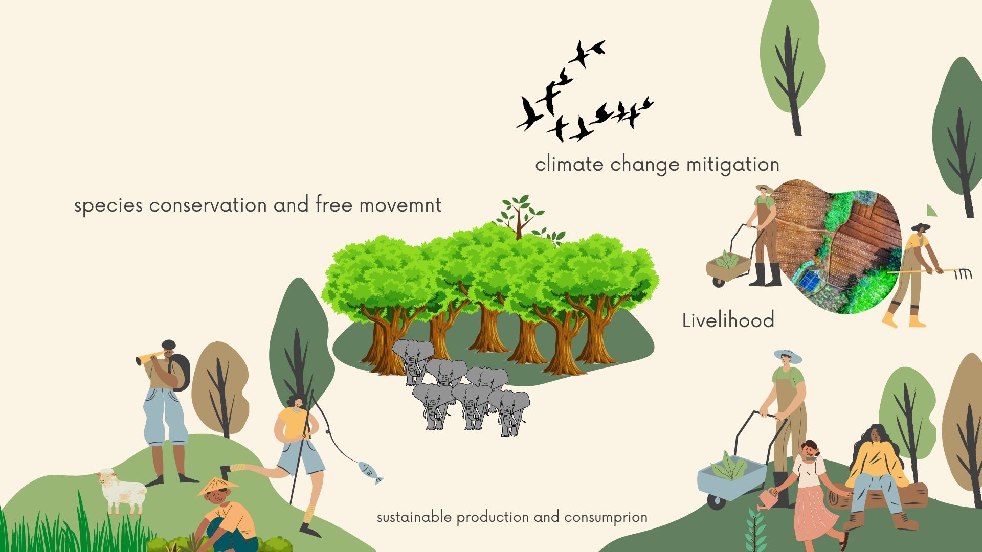 Understanding Capacity Building beyond individual training
