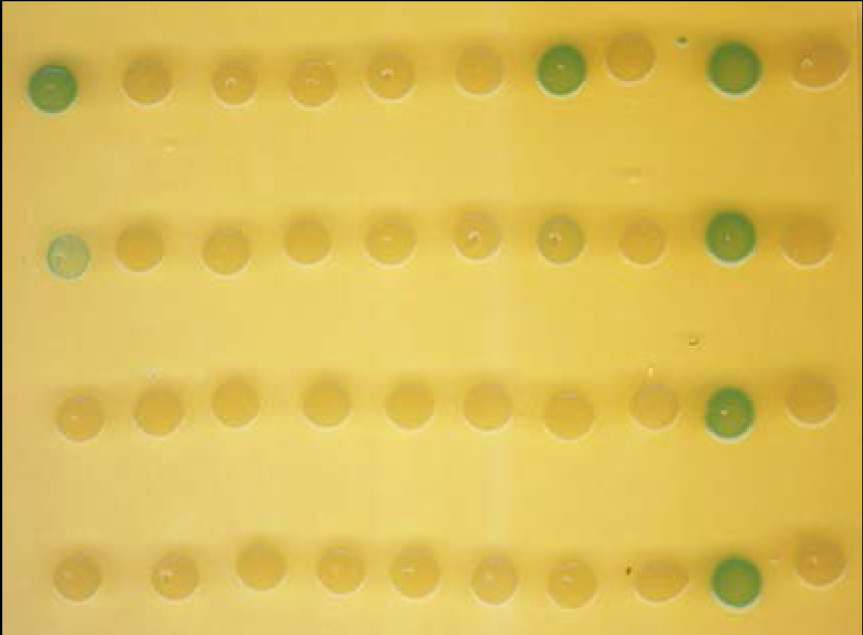 Highlights from FEBS Letters - December 2017