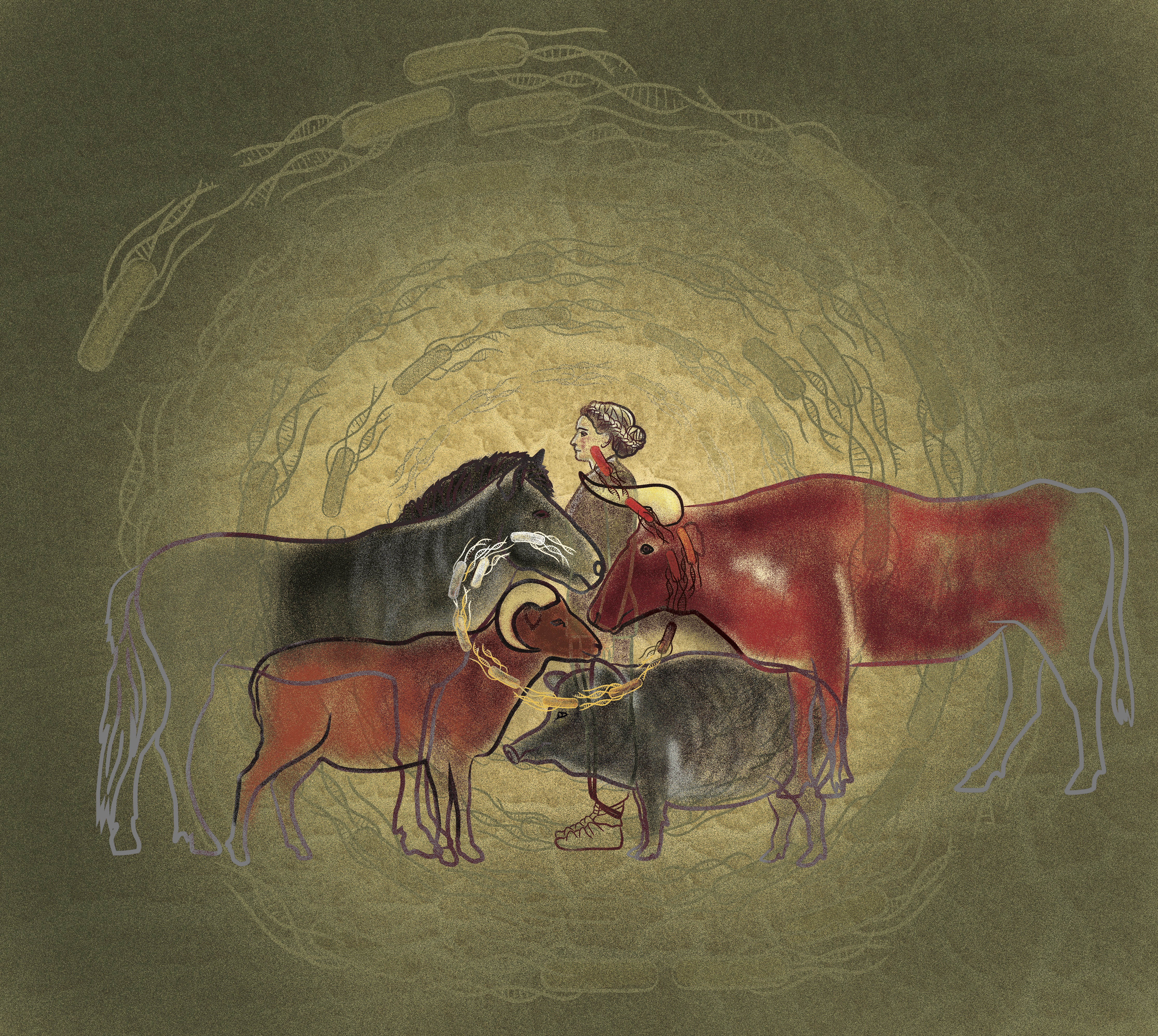 Prehistoric disease emergence