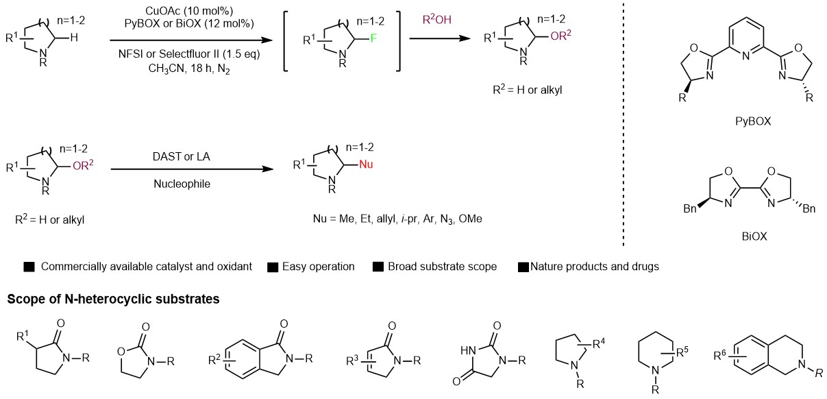 Copper catalyzed late-stage C(sp3)-H functionalization of nitrogen heterocycles