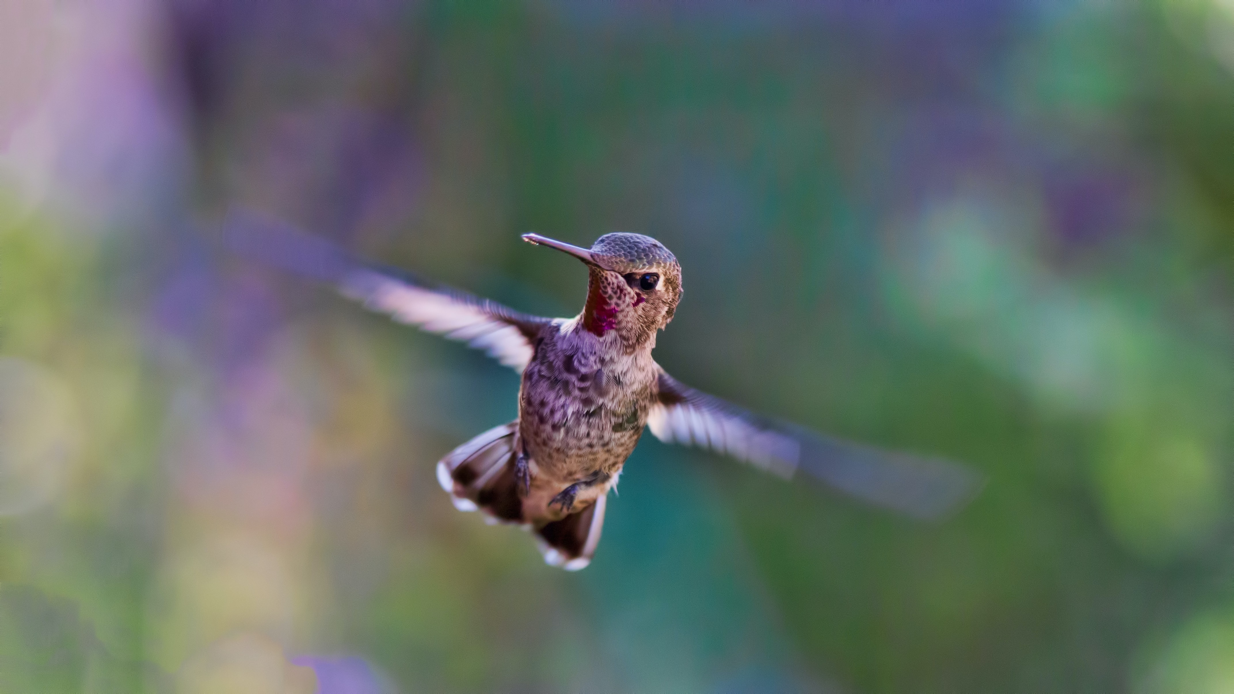 Project Management for Wildlife Conservation