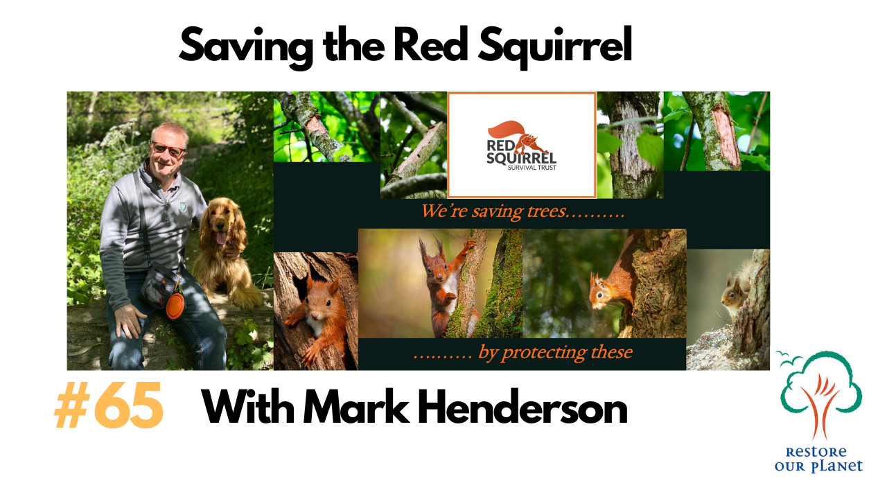 Restore Our Planet Podcast #65 Saving the Red Squirrel: Mark Henderson