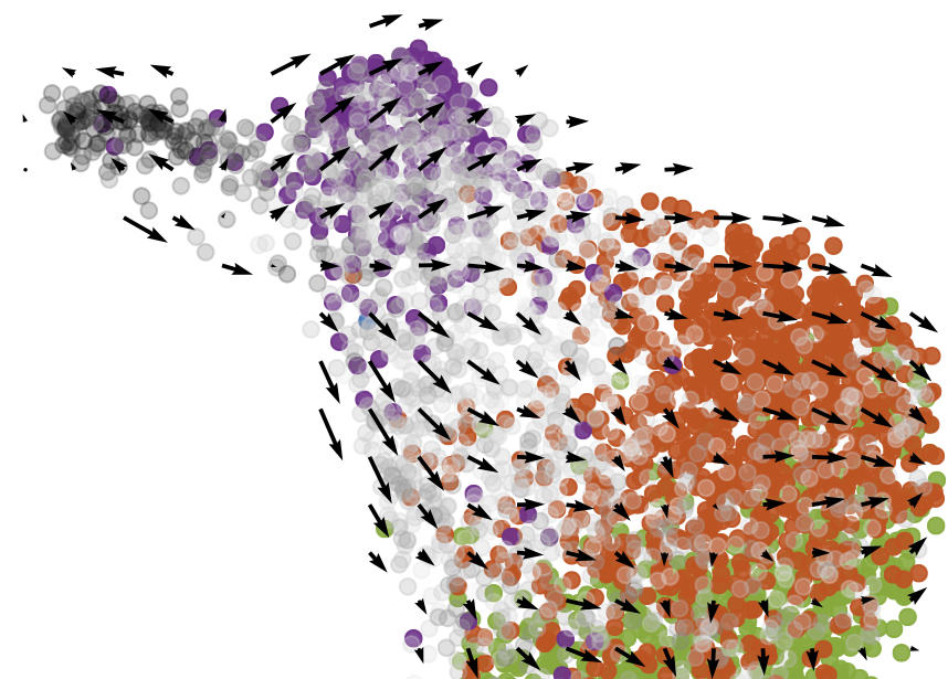Cancer: finding order in chaos